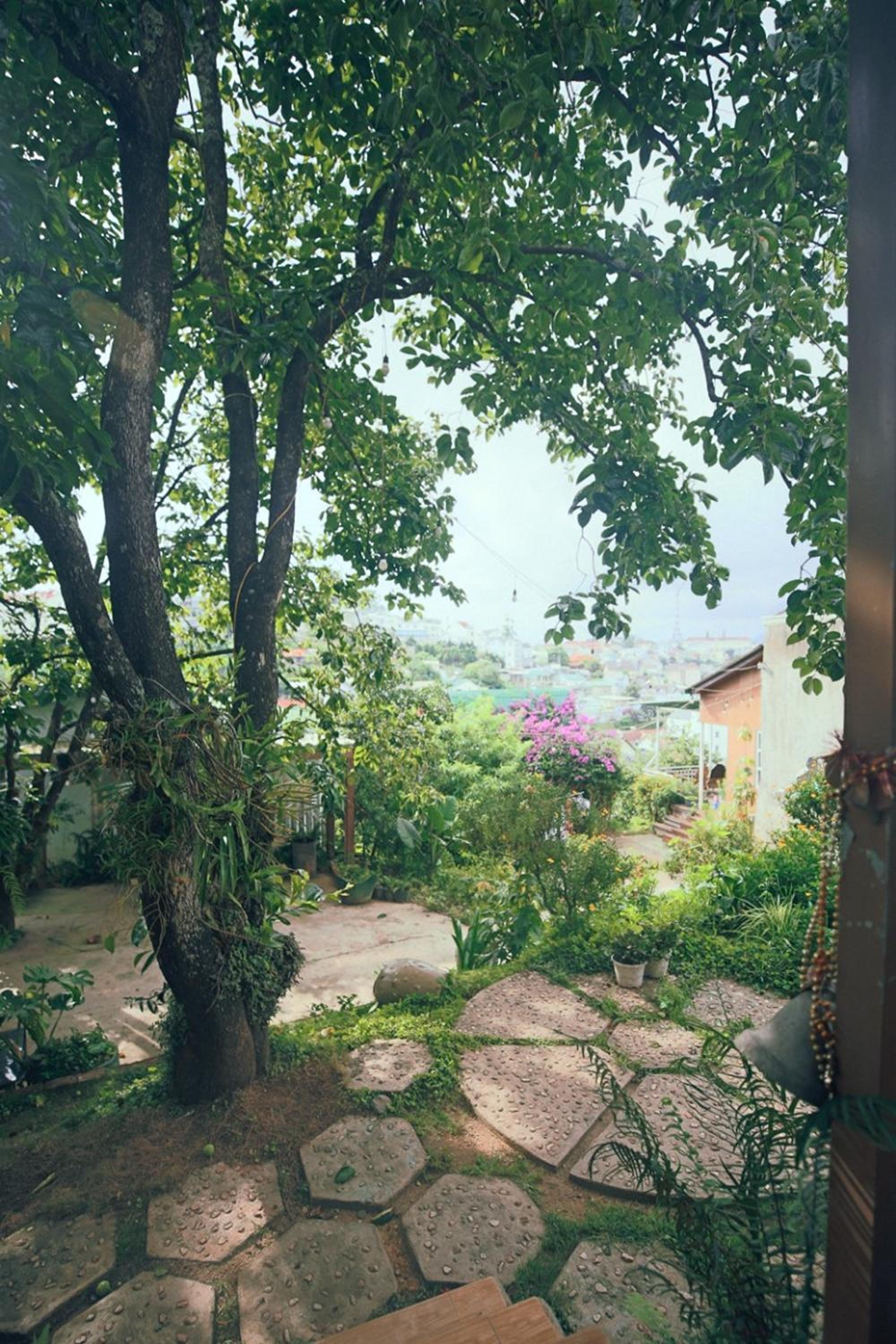 Books Home Dalat