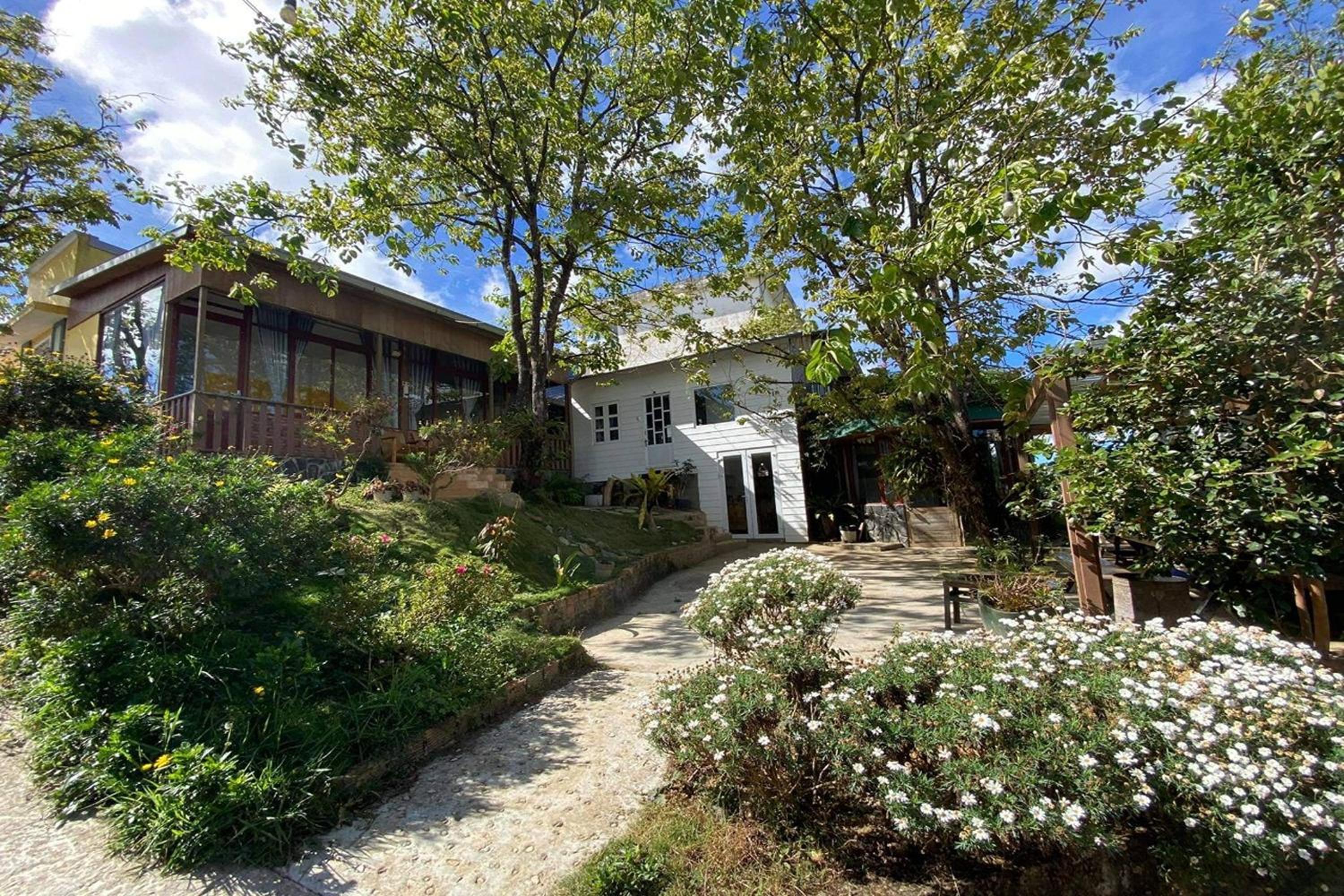 Books Home Dalat