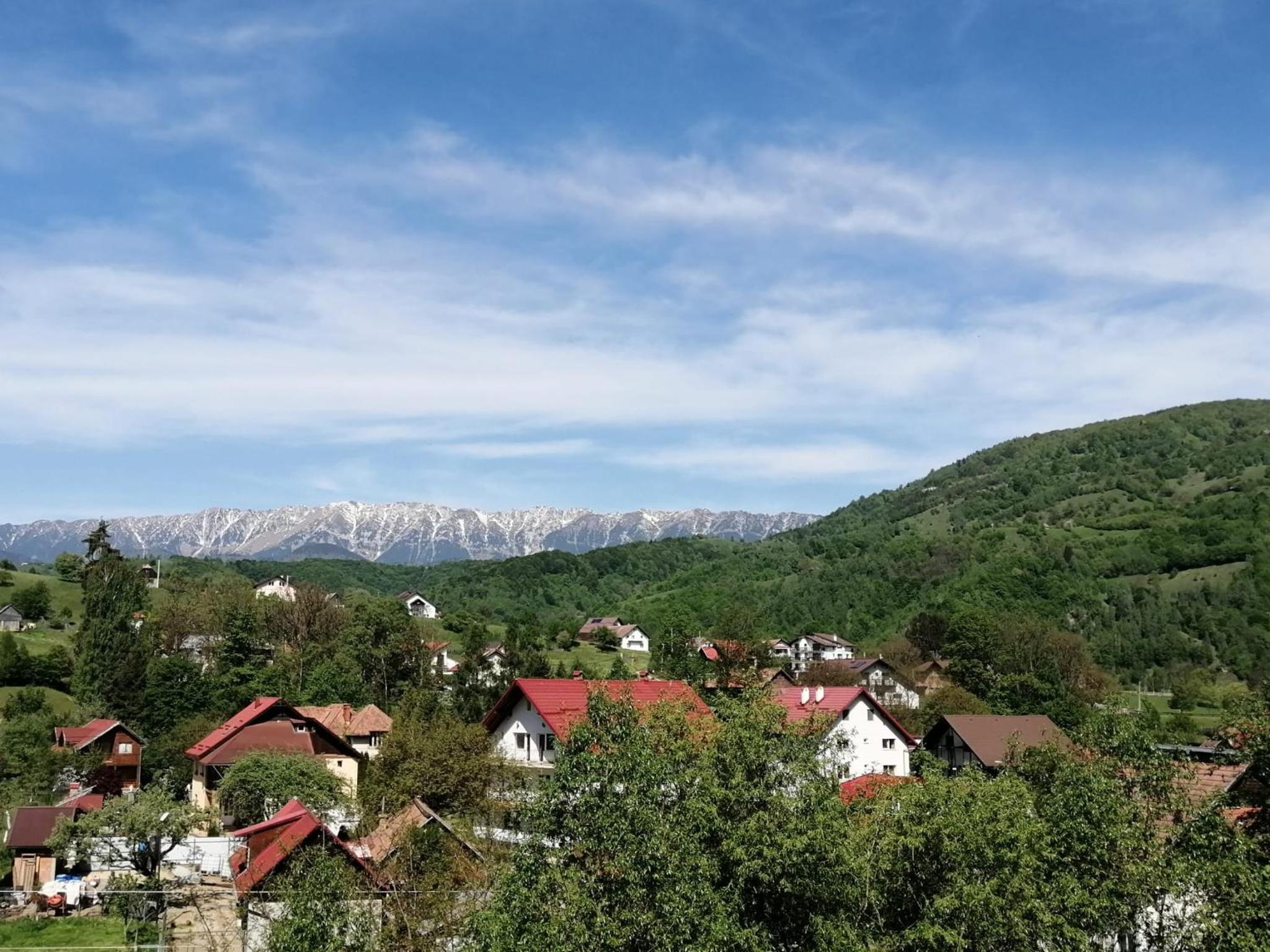 Vila Maria Bran view 4