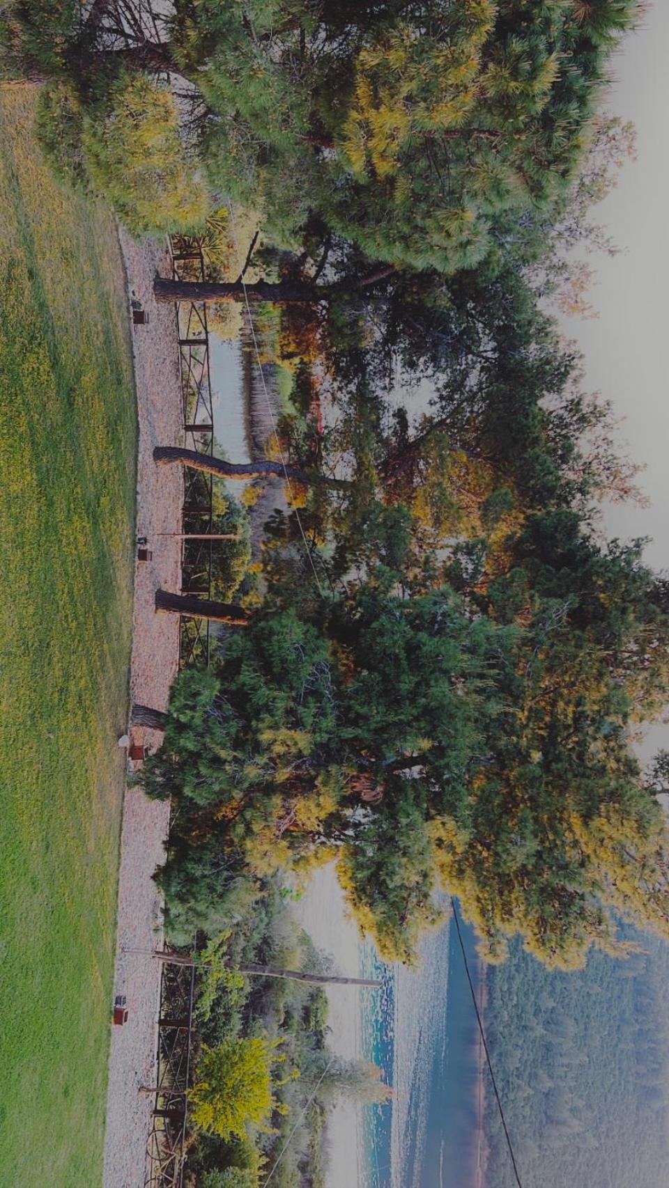 Photo 49