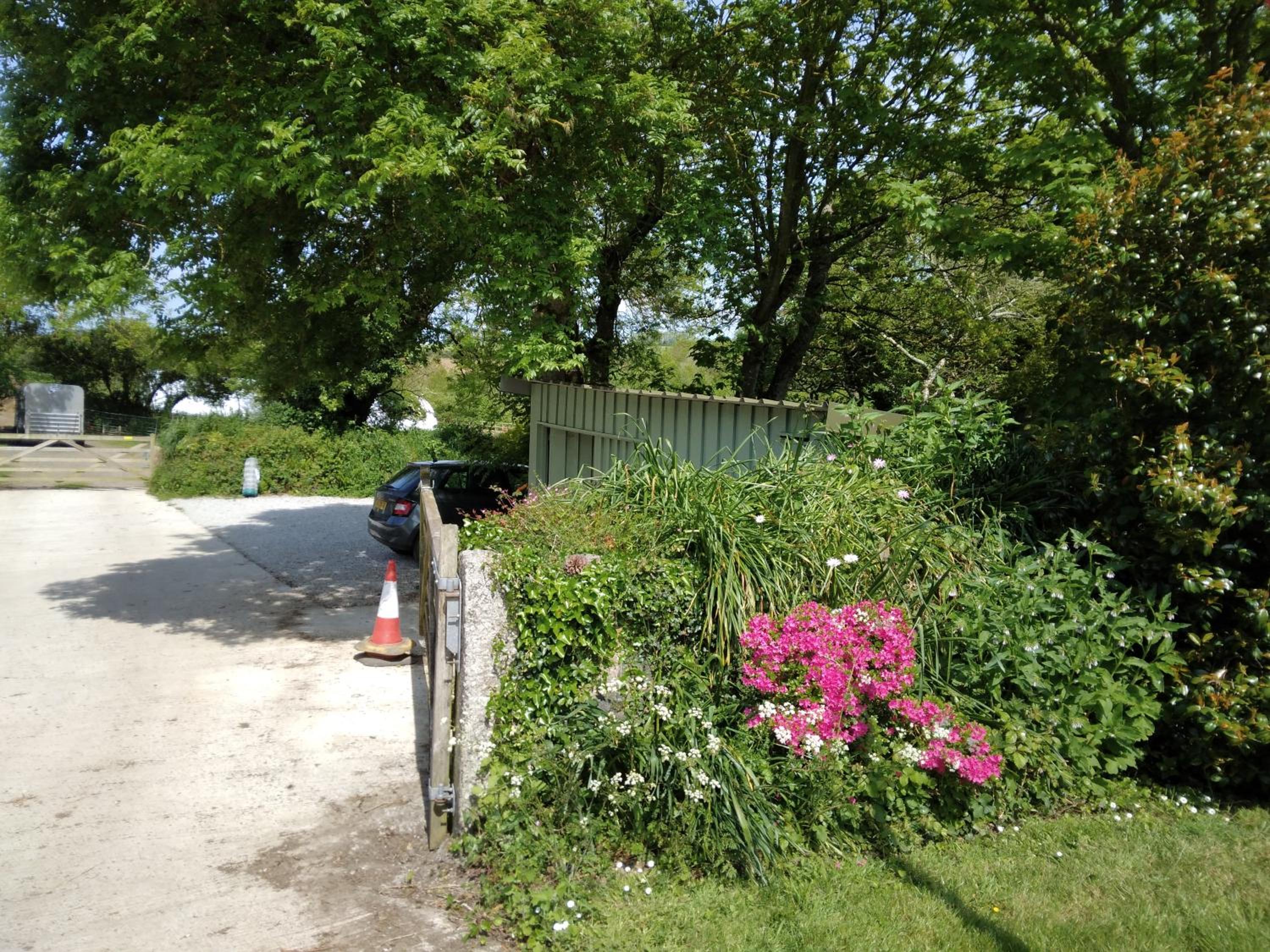 Photo 21