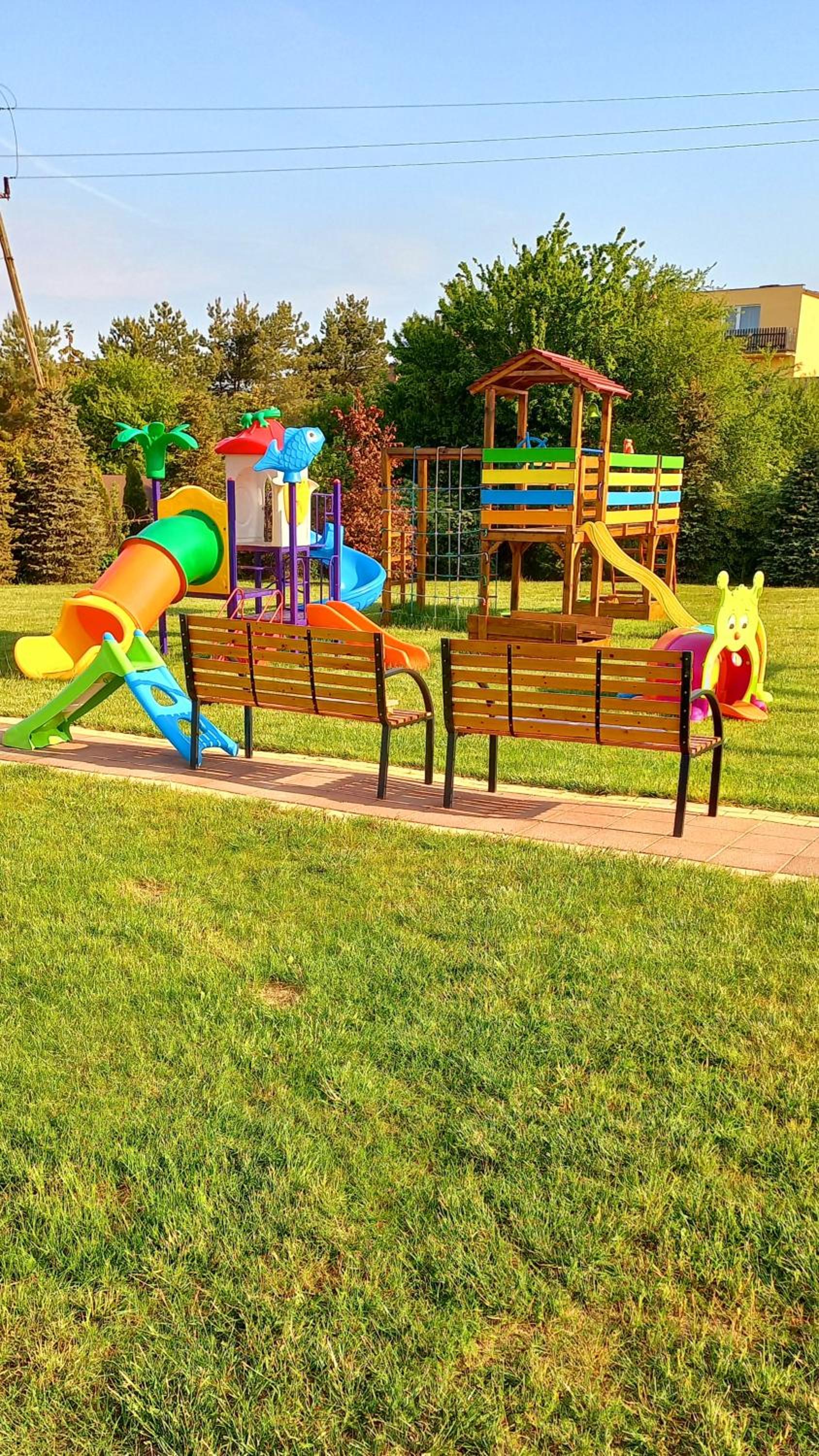Photo 7
