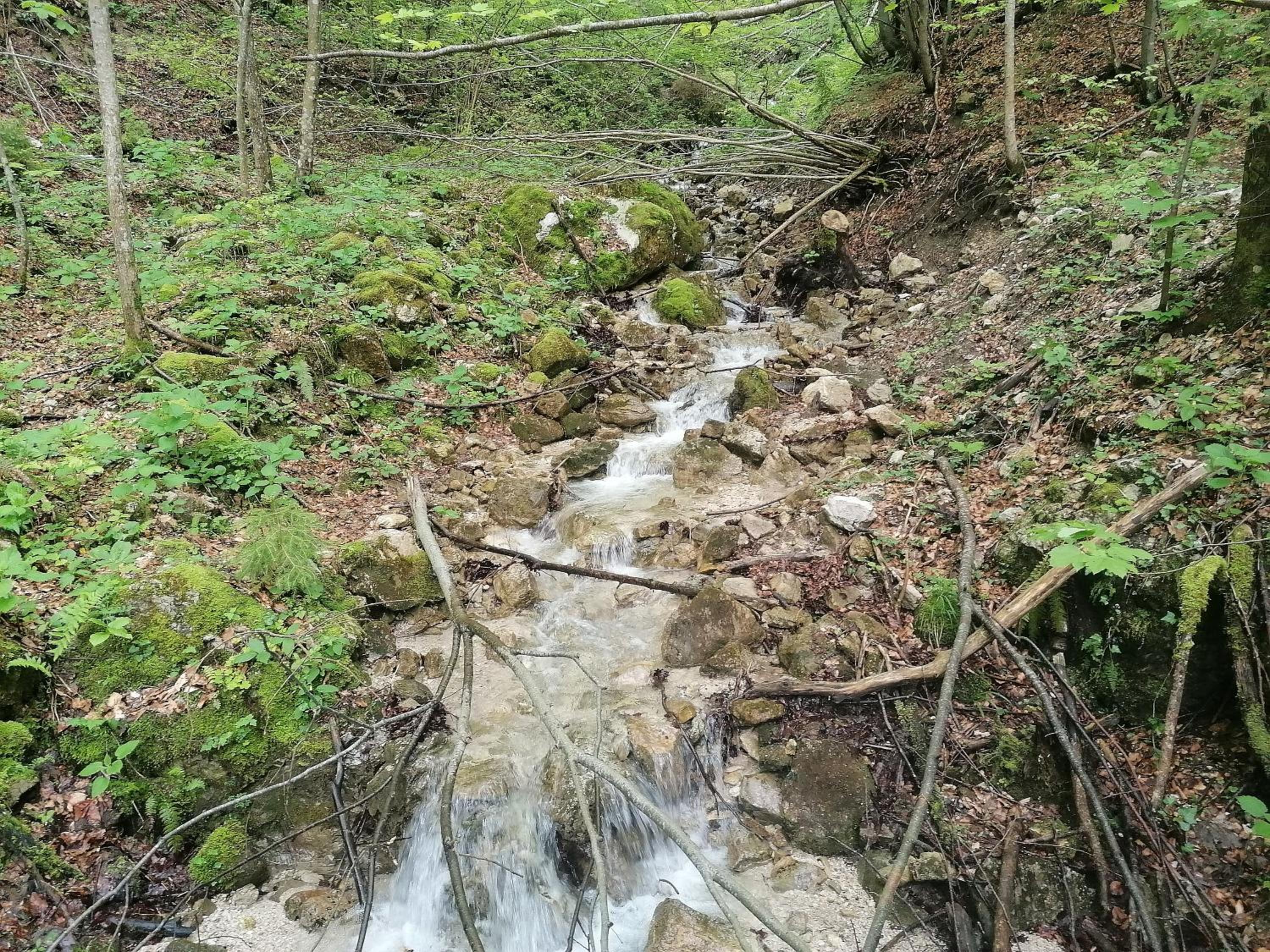 Photo 46