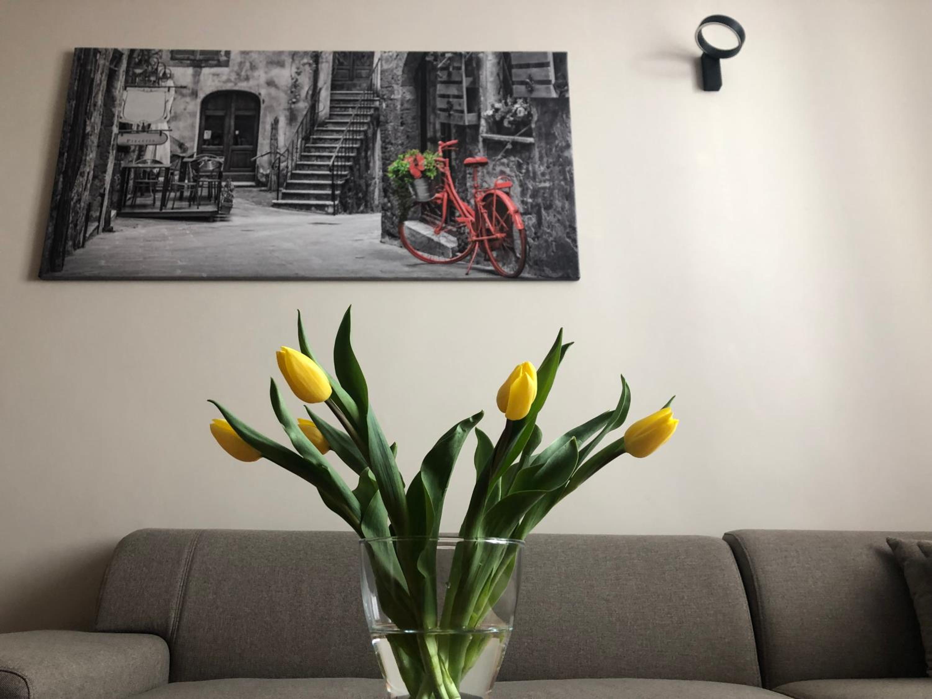 Zamkowy Apartament