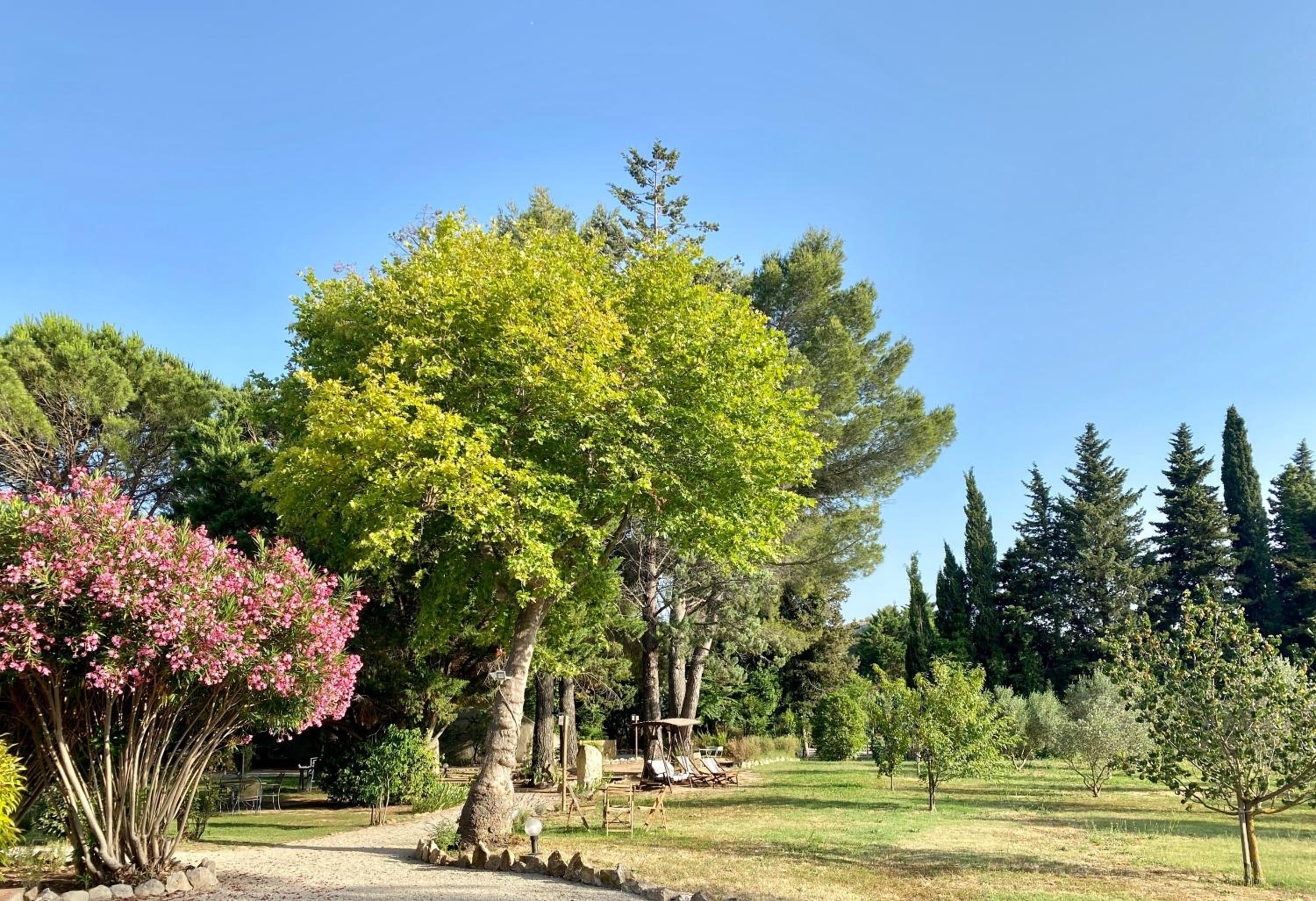 Photo 28