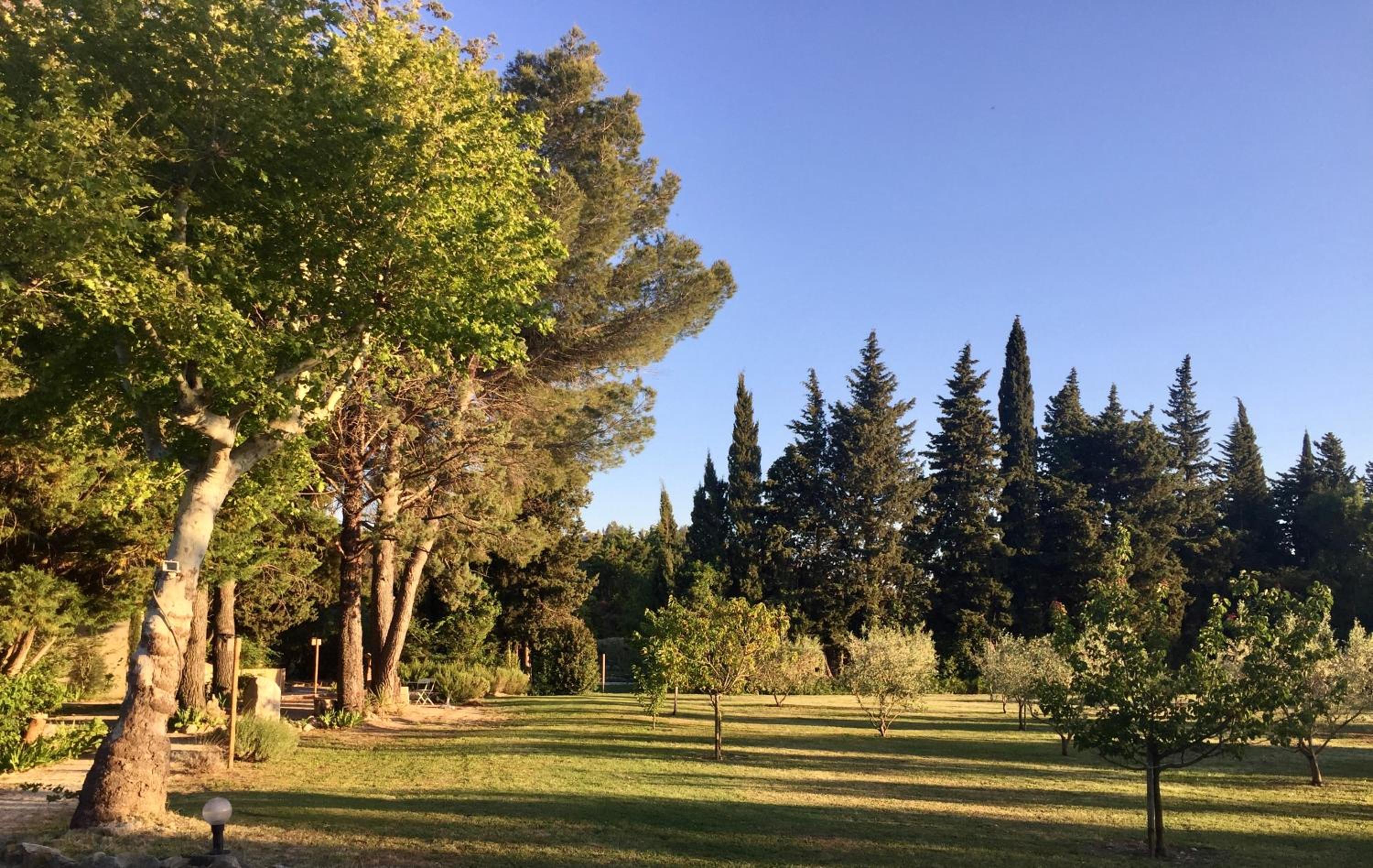 Photo 29