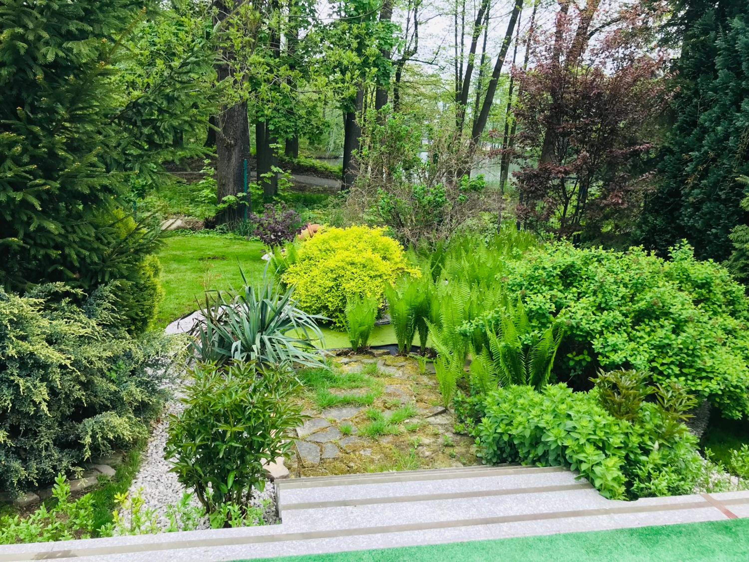Zielona Prowincja view 3