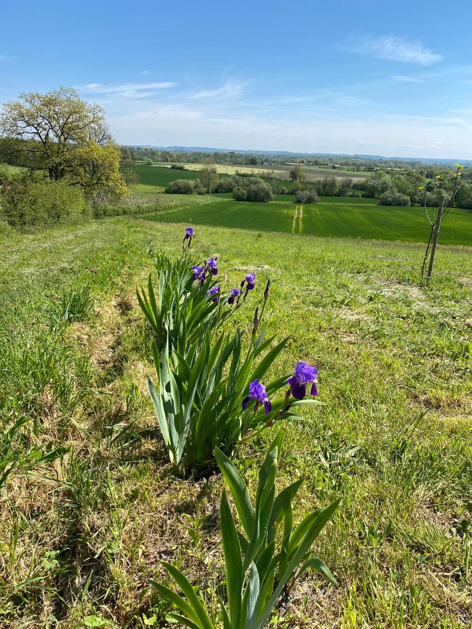 La Vignerie
