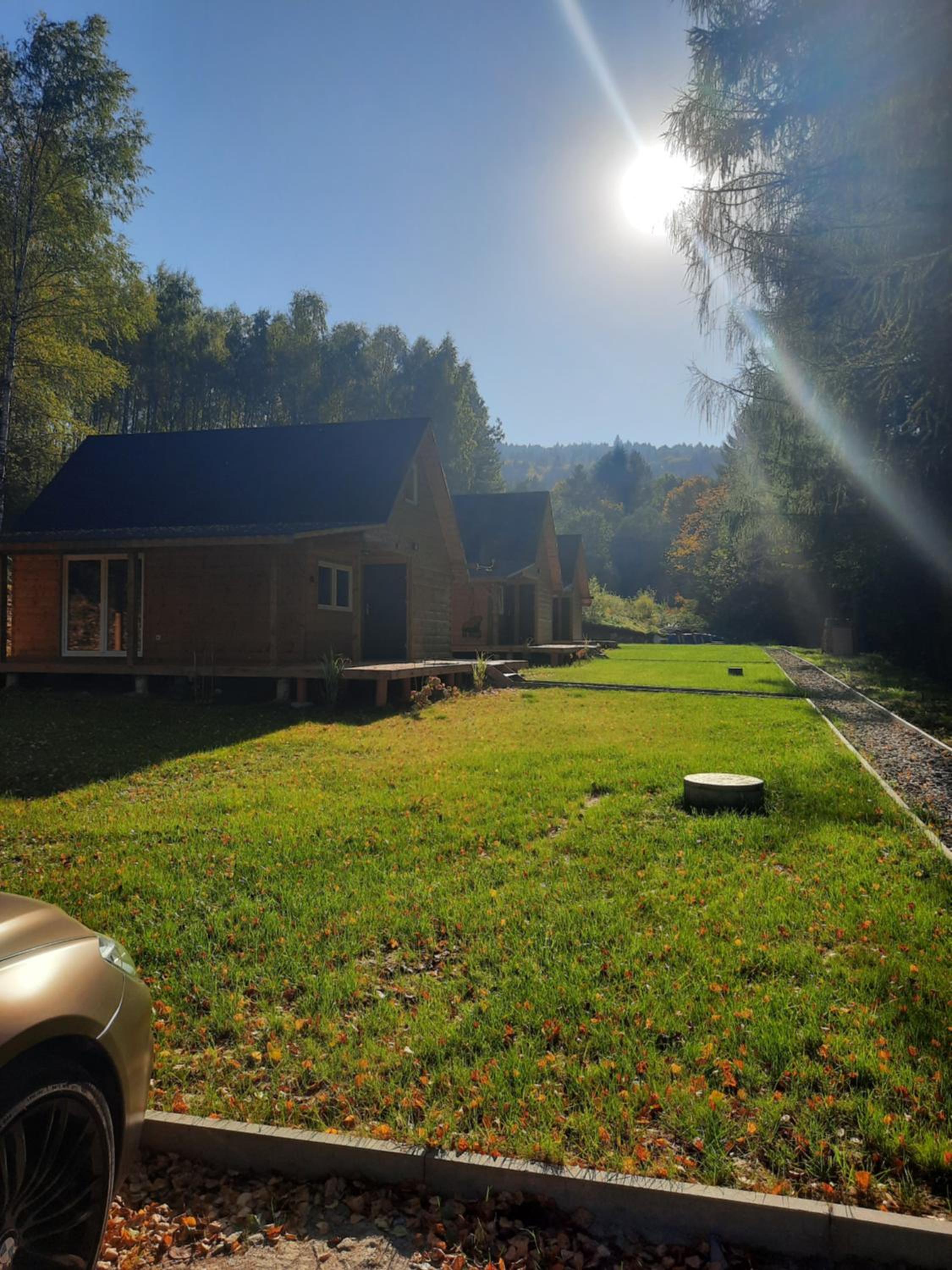 Photo 41