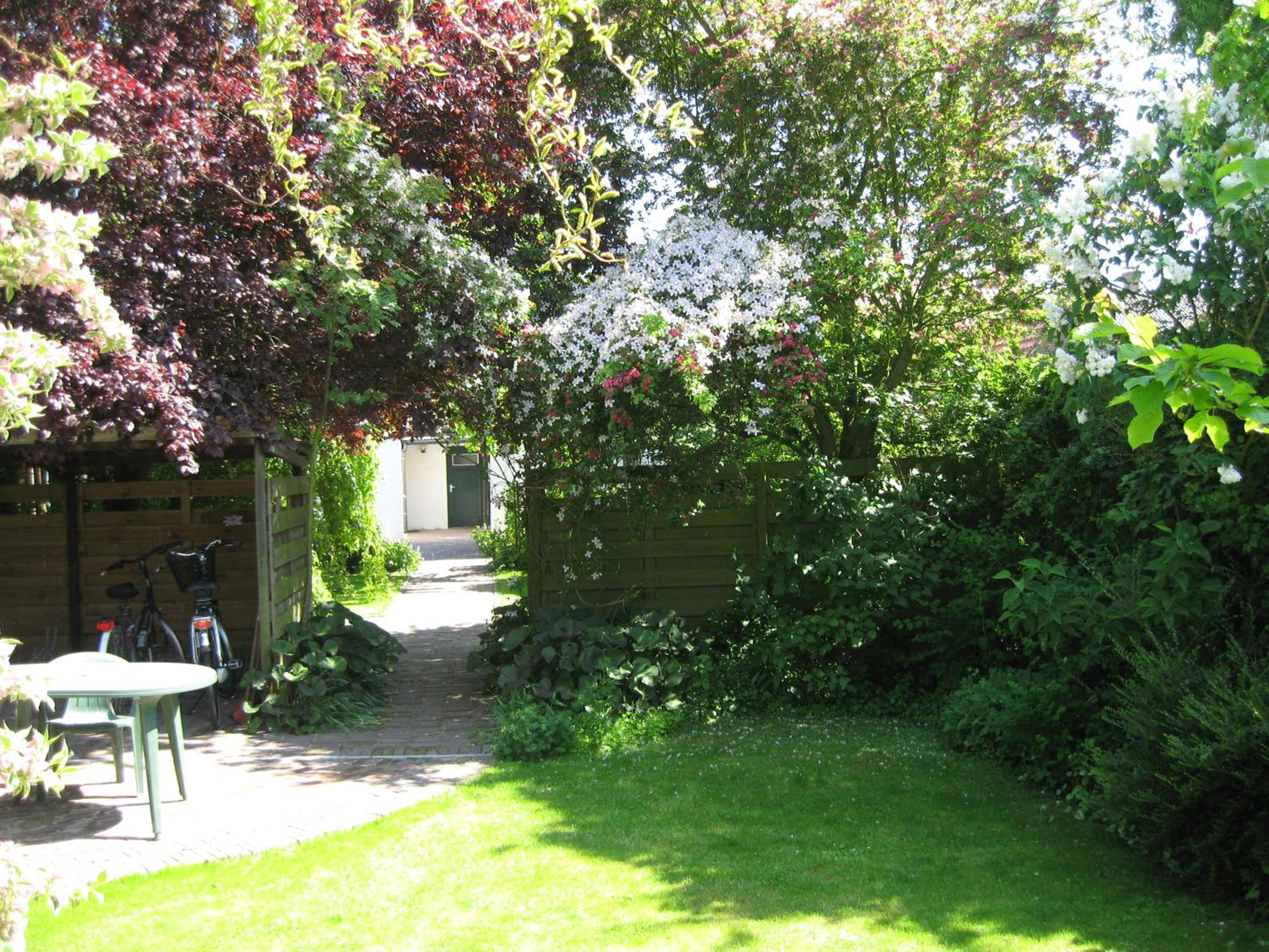 Photo 31