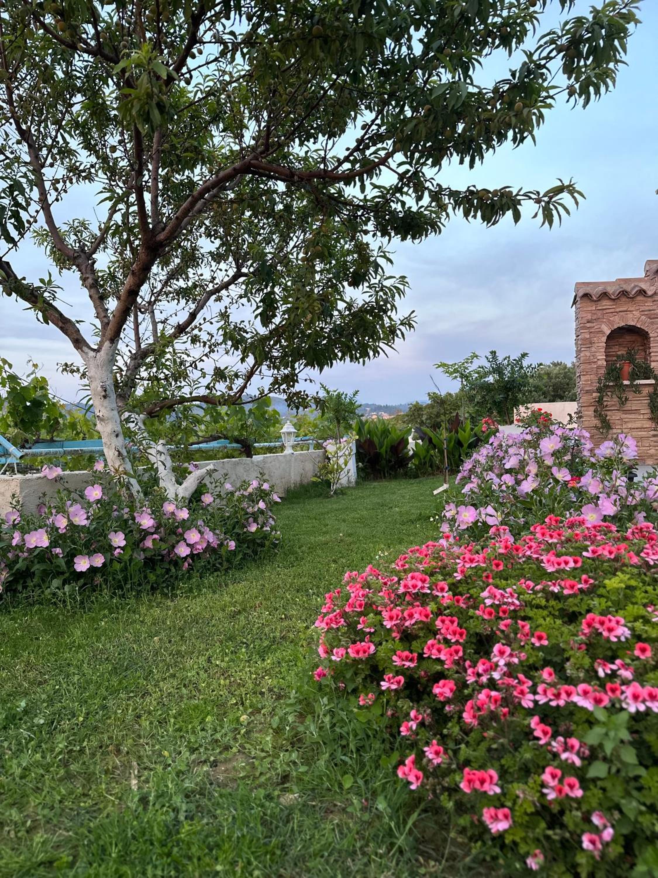 Gikas Apartments view 4