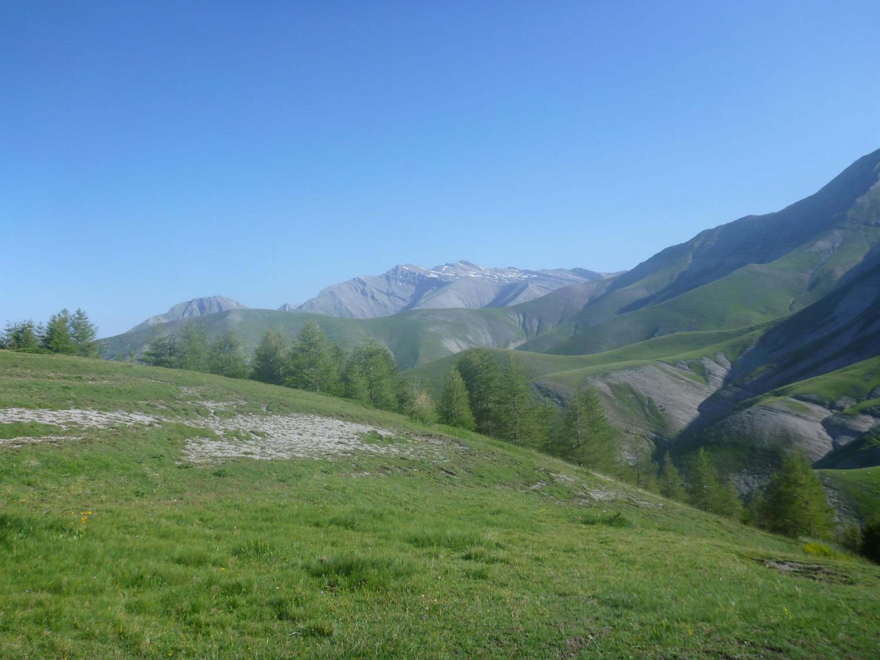 Photo 31