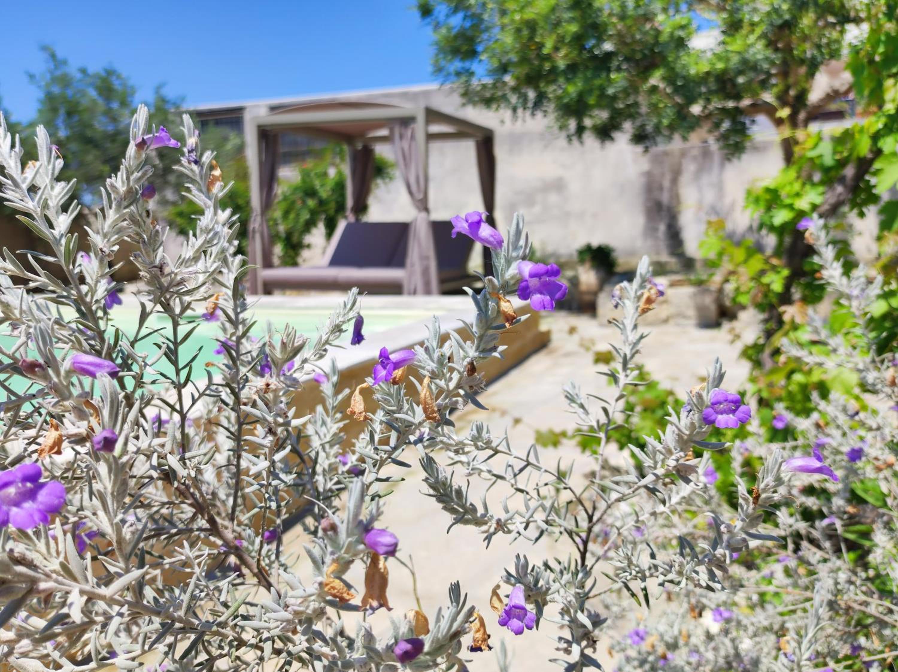 Masseria Asteri B&B
