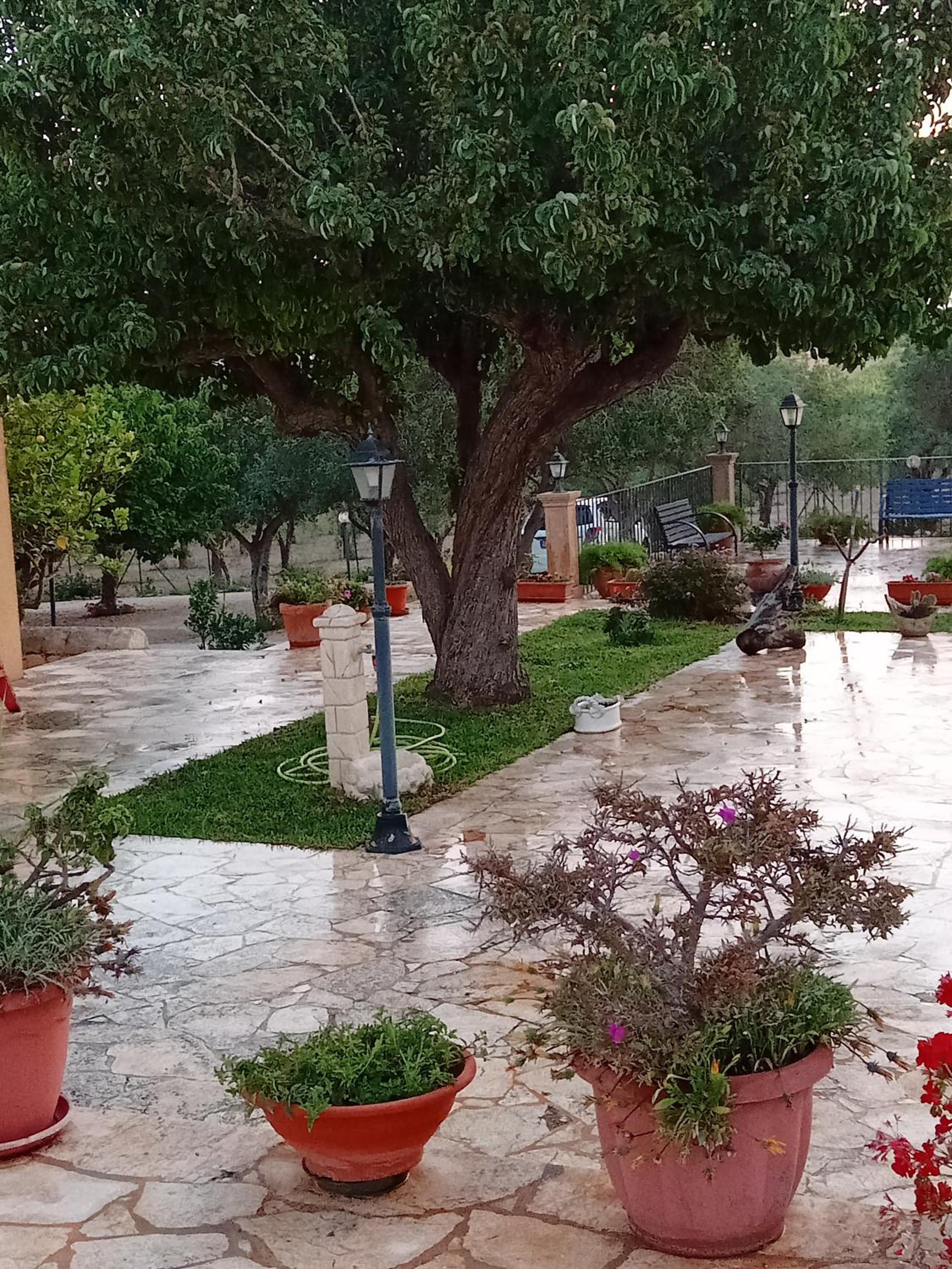 Il Poggetto Marzamemi B&B, fotografia 4