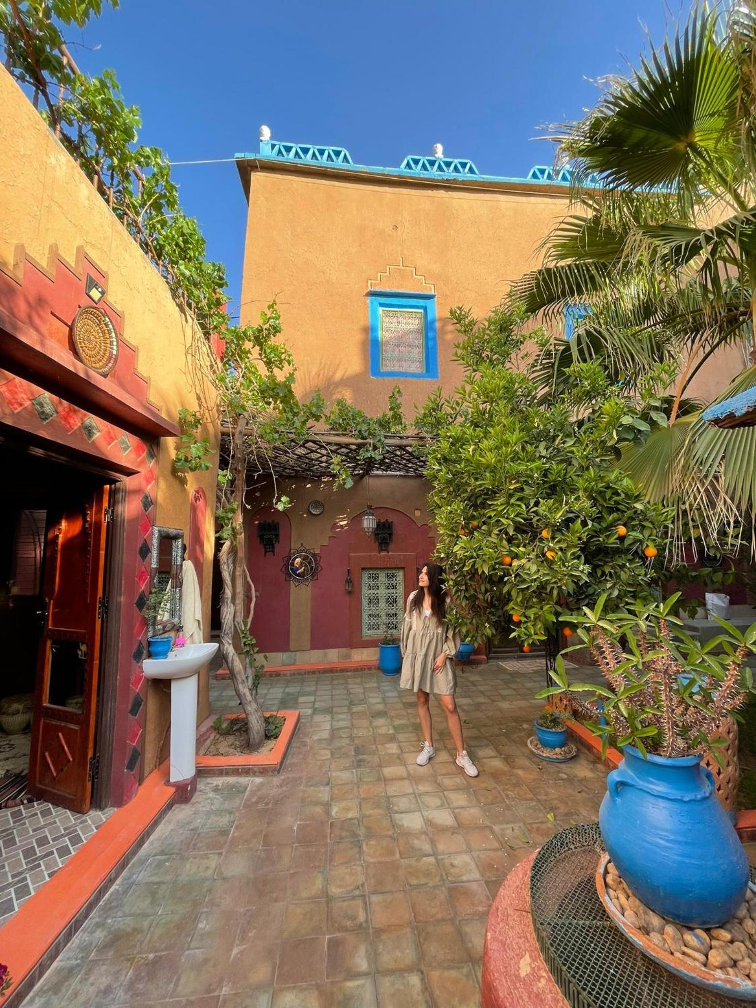 Riad Dades Birds