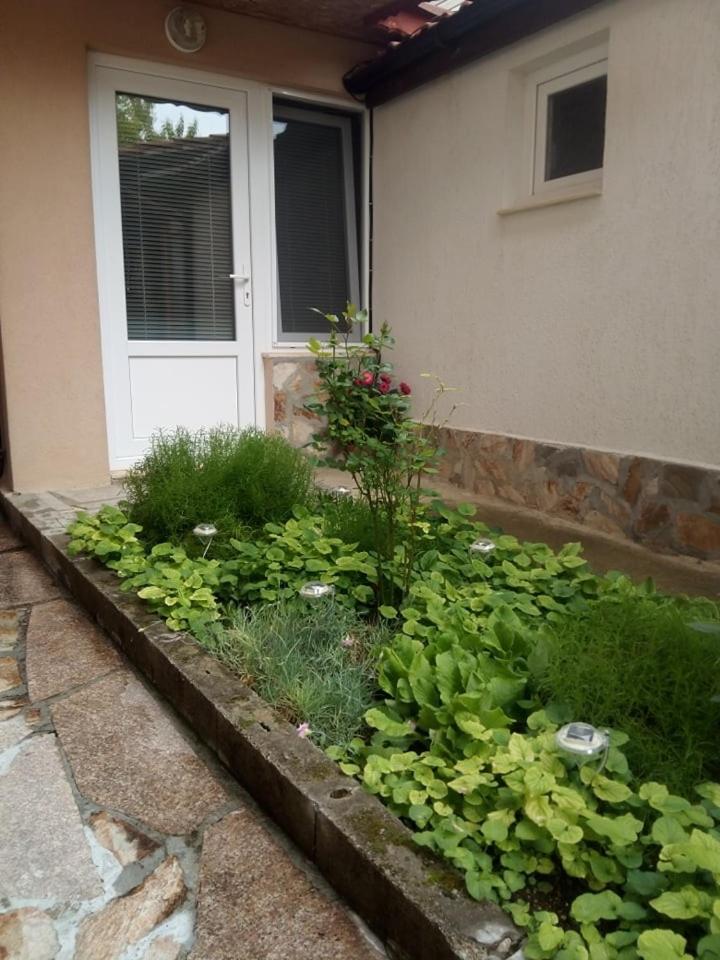Photo 28