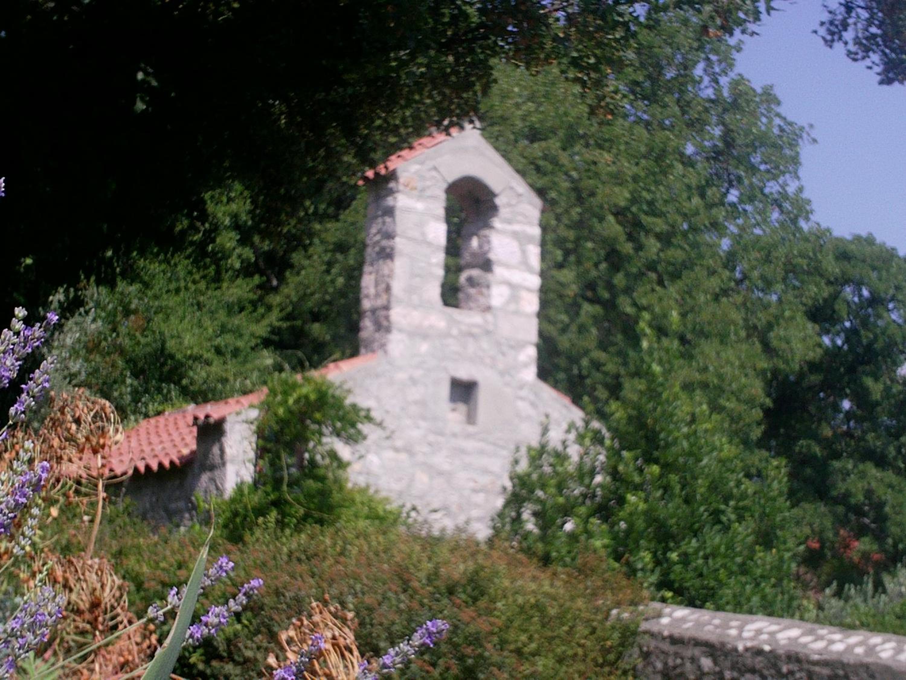 Photo 33