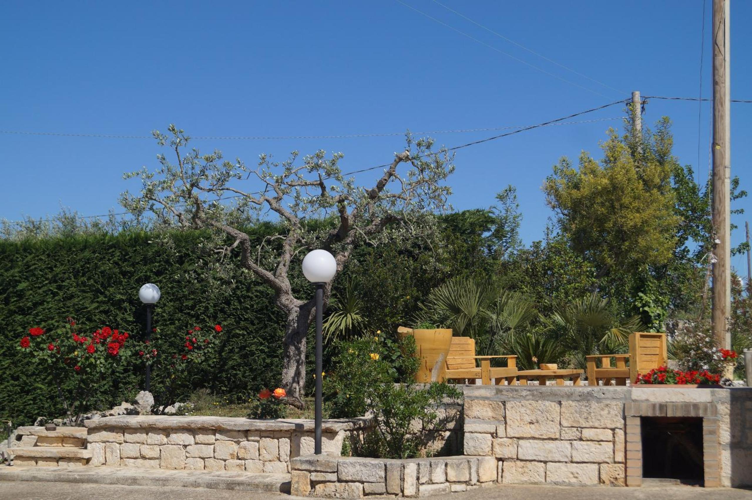 Photo 41
