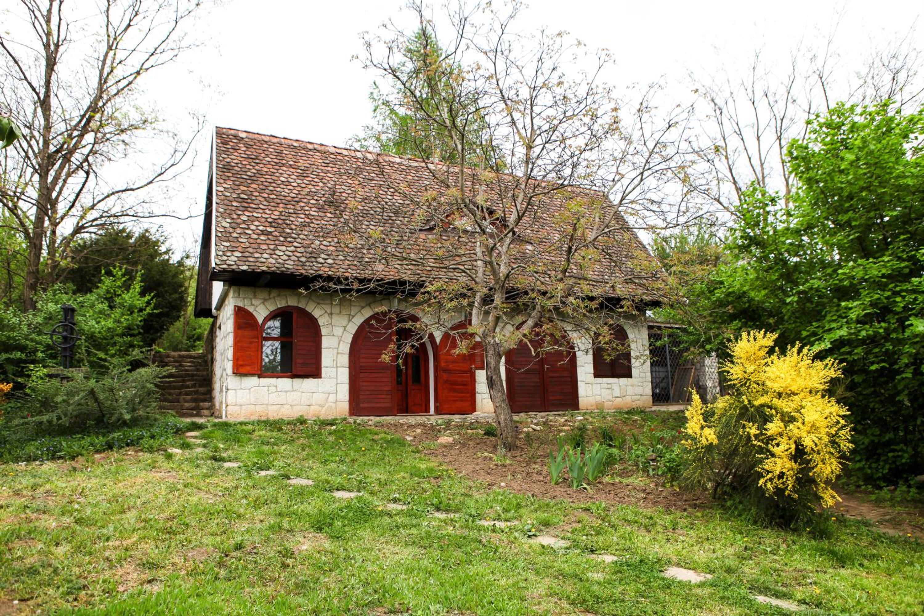 Photo 16