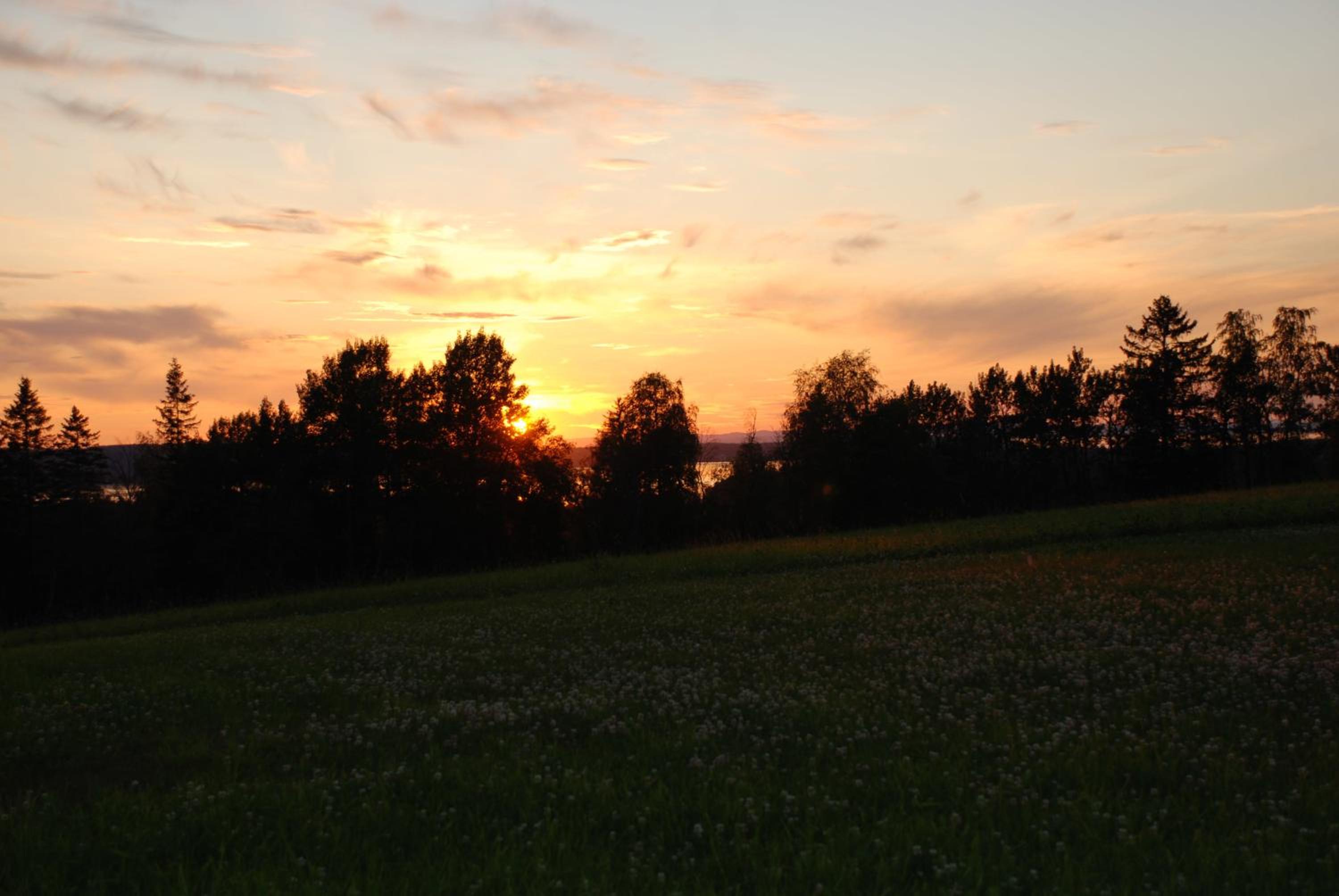 Photo 37