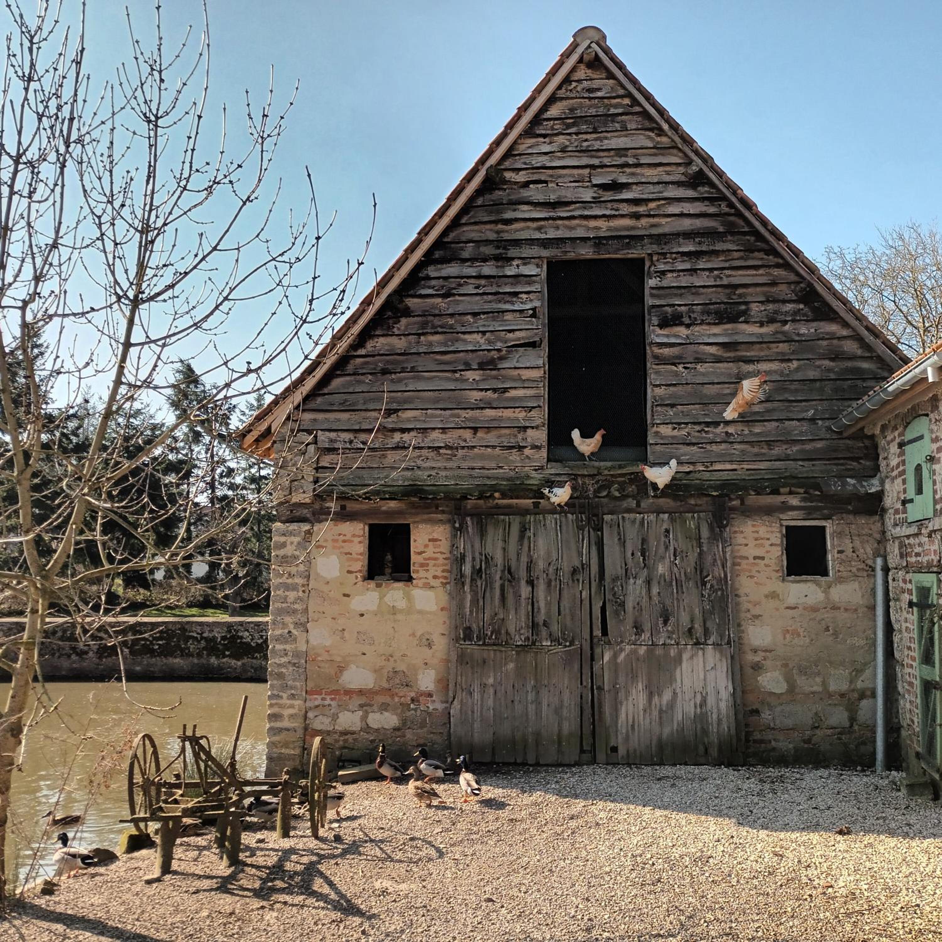 Photo 43