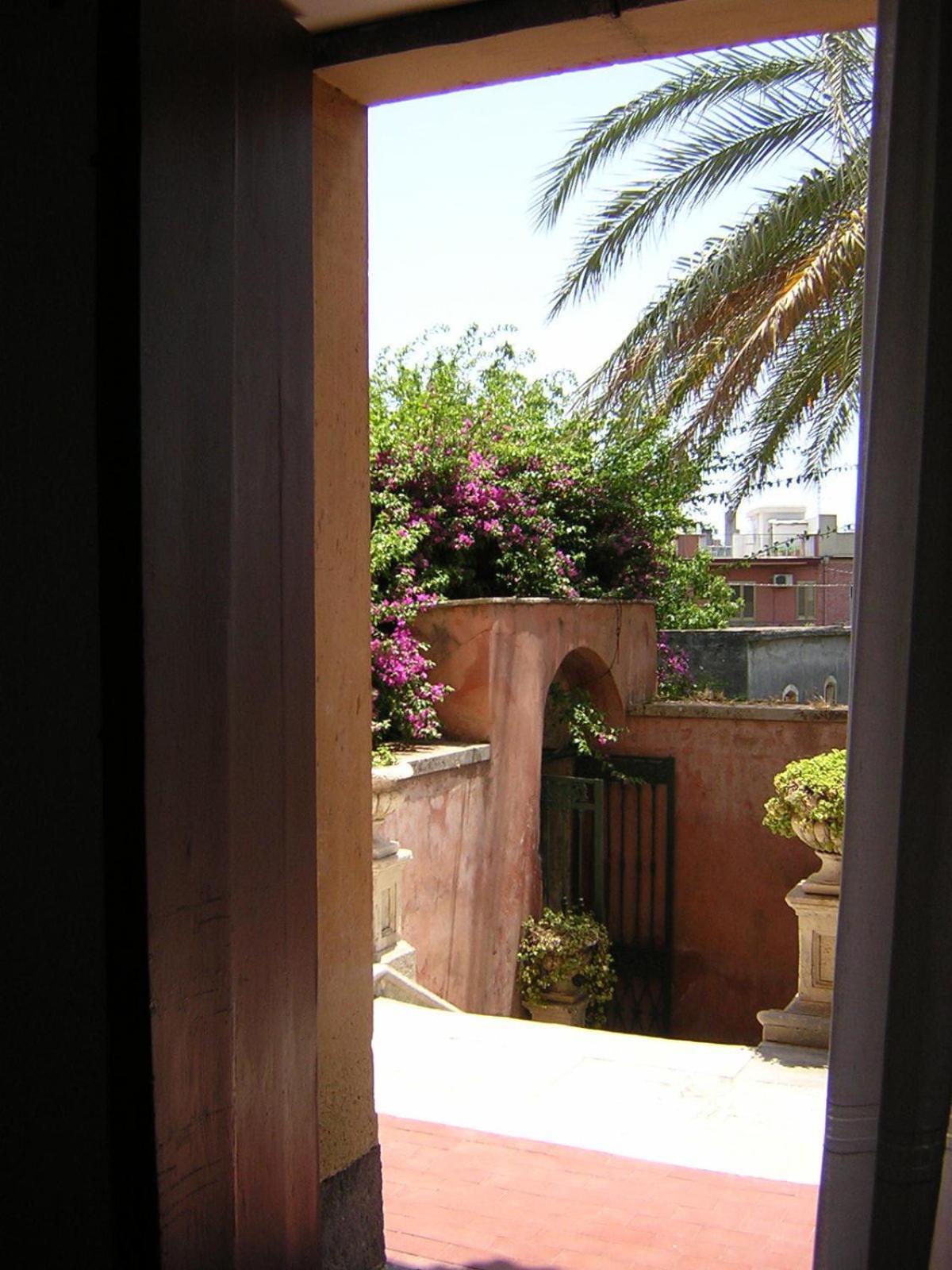 Photo 24