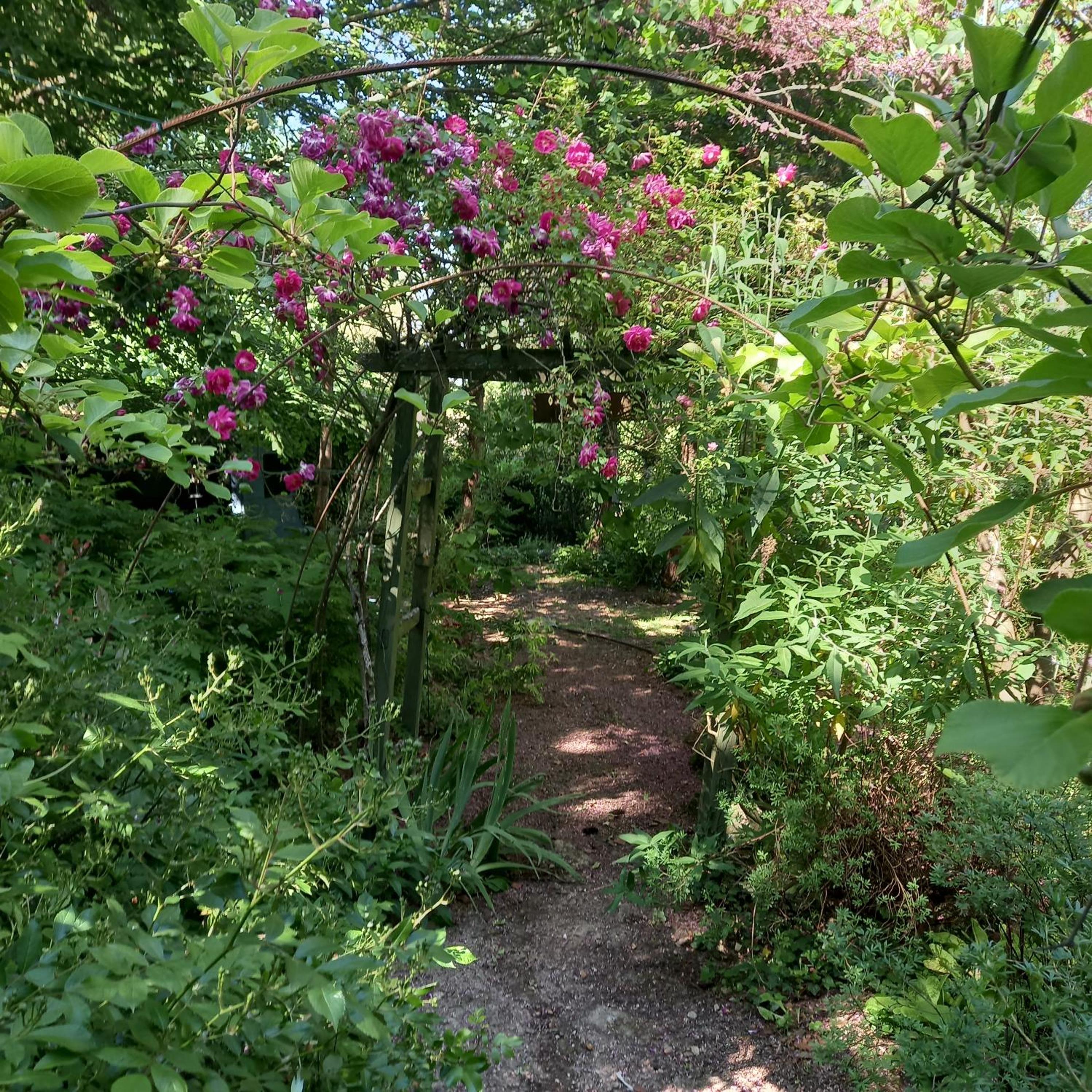 Photo 21