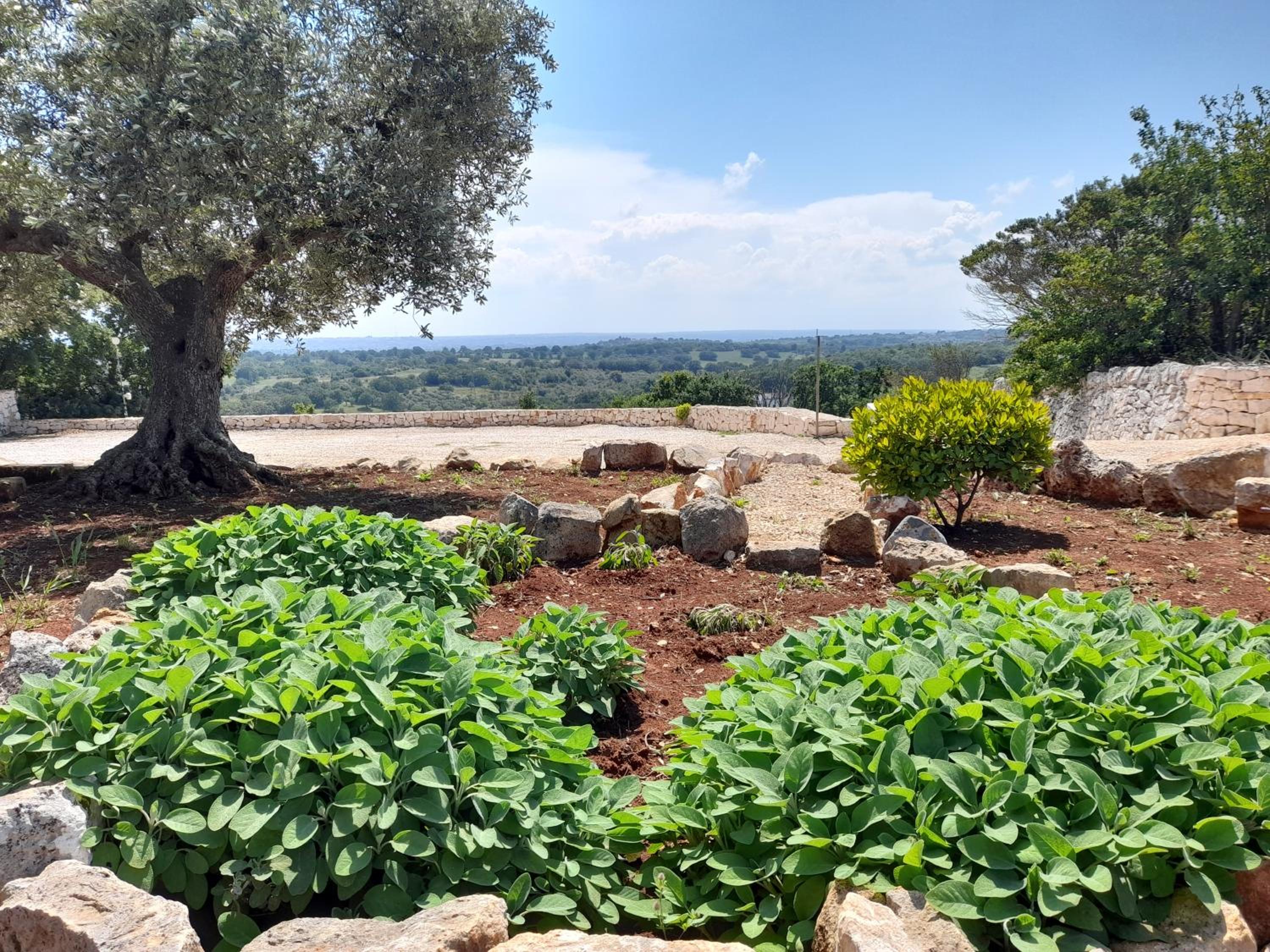 Dimora Verde B con trullo Masseria Poesia view 4
