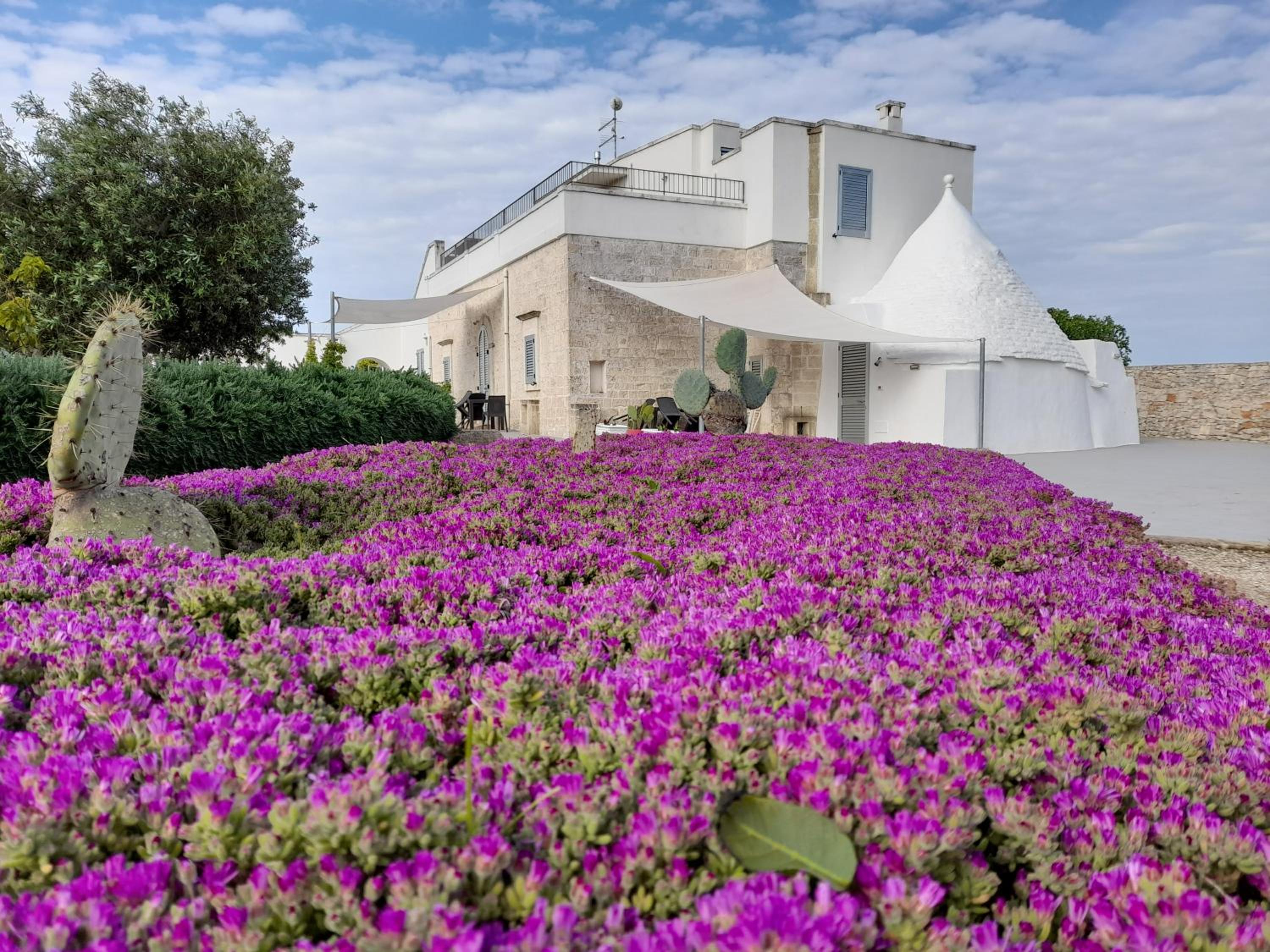 Dimora Gialla Masseria Poesia view 5