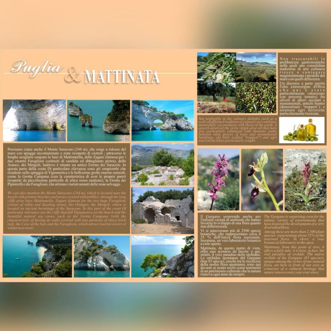Villa Marhu'