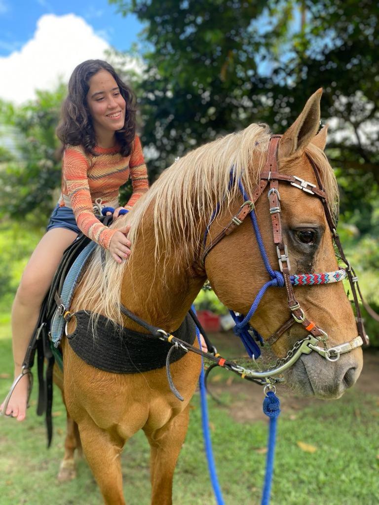 Pousada Toca da Coruja