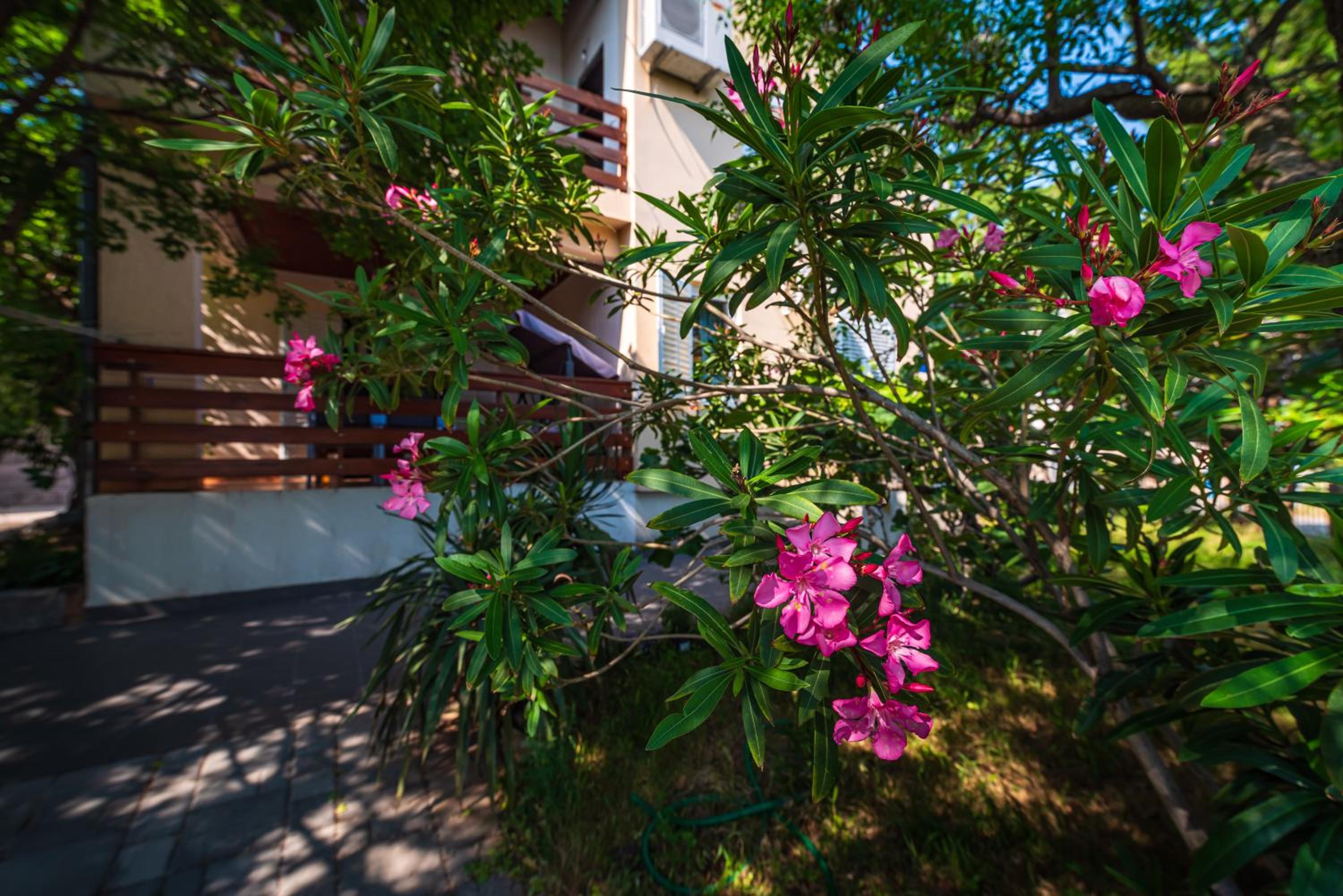 Vacation house Anna view 3