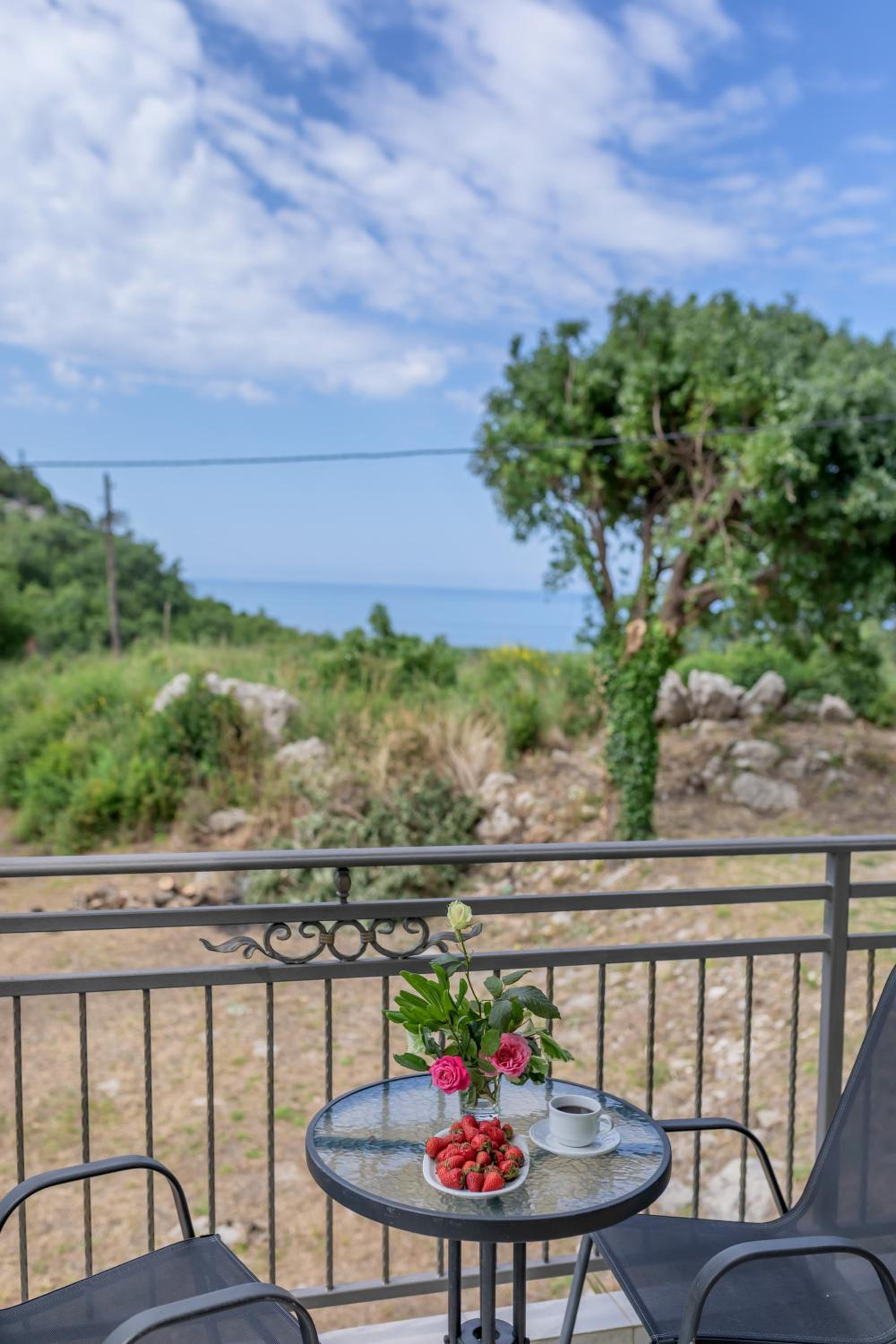 Villa Montenegrina