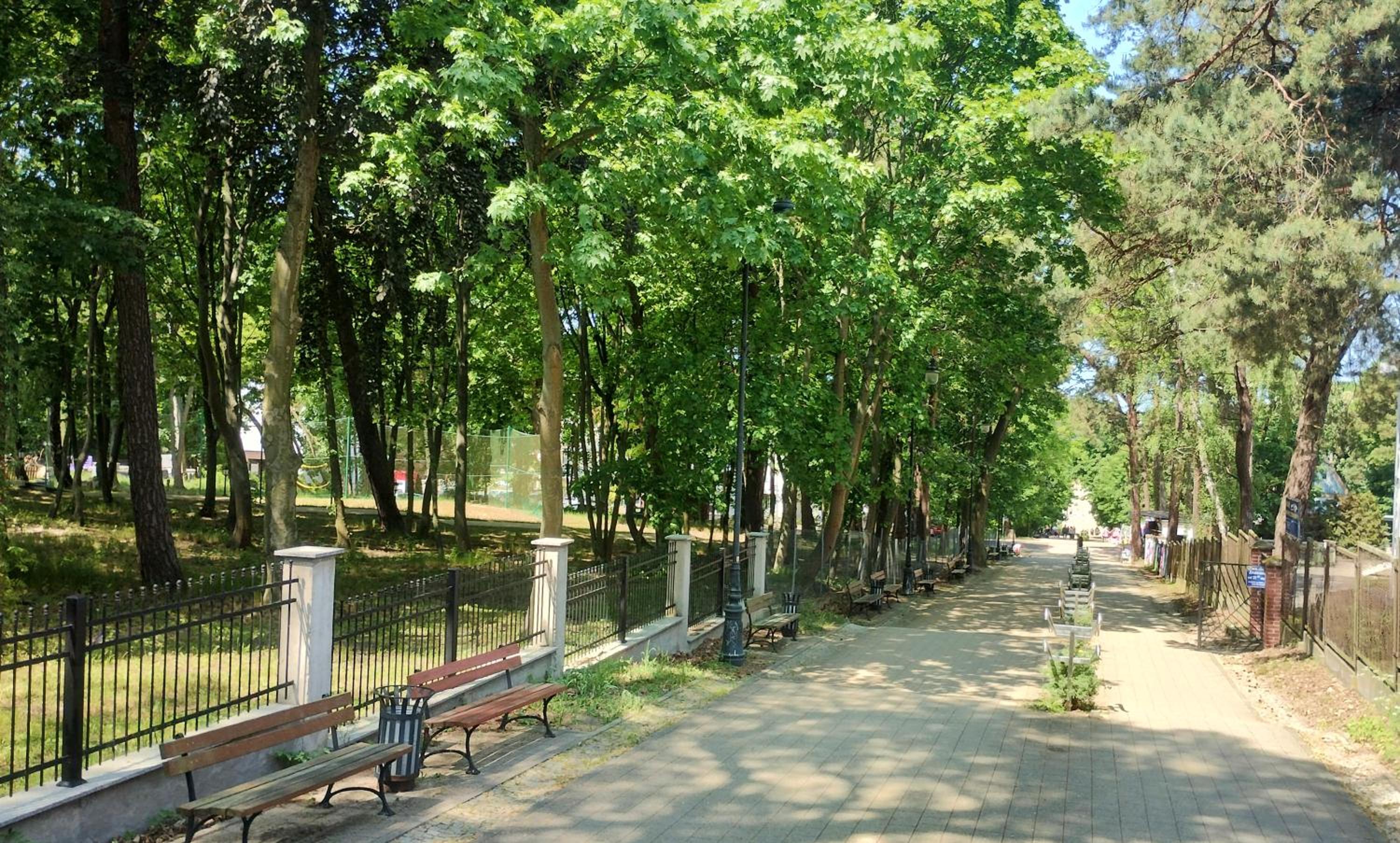 Photo 41