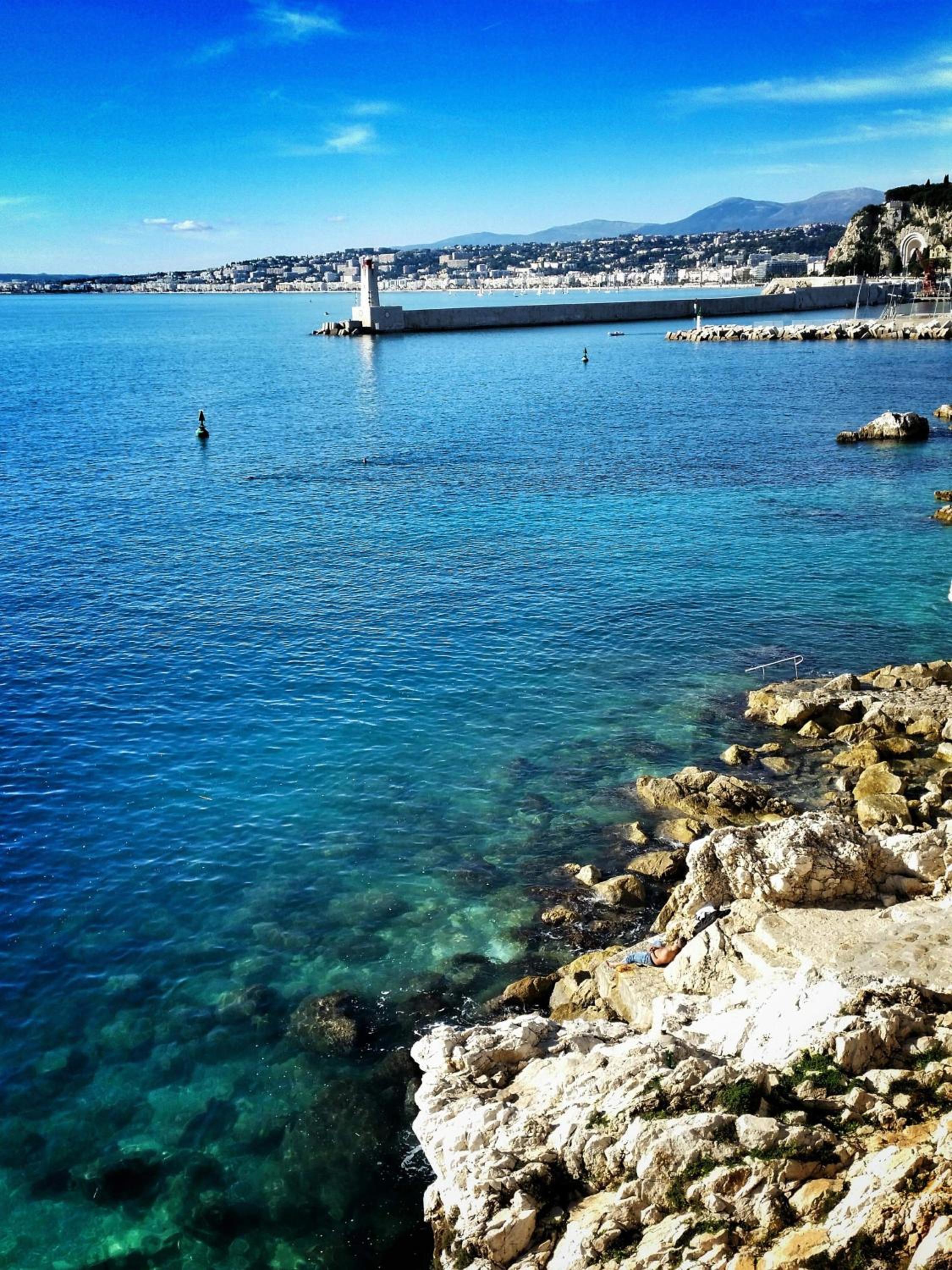 Bonaparte photo 3