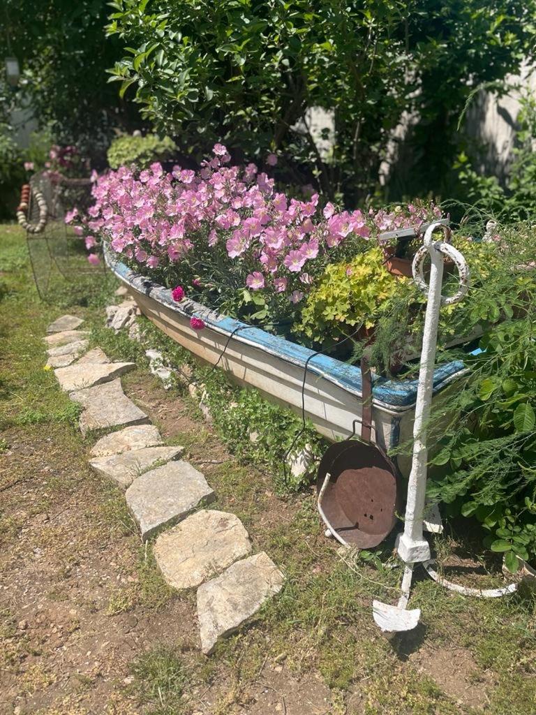 Photo 34