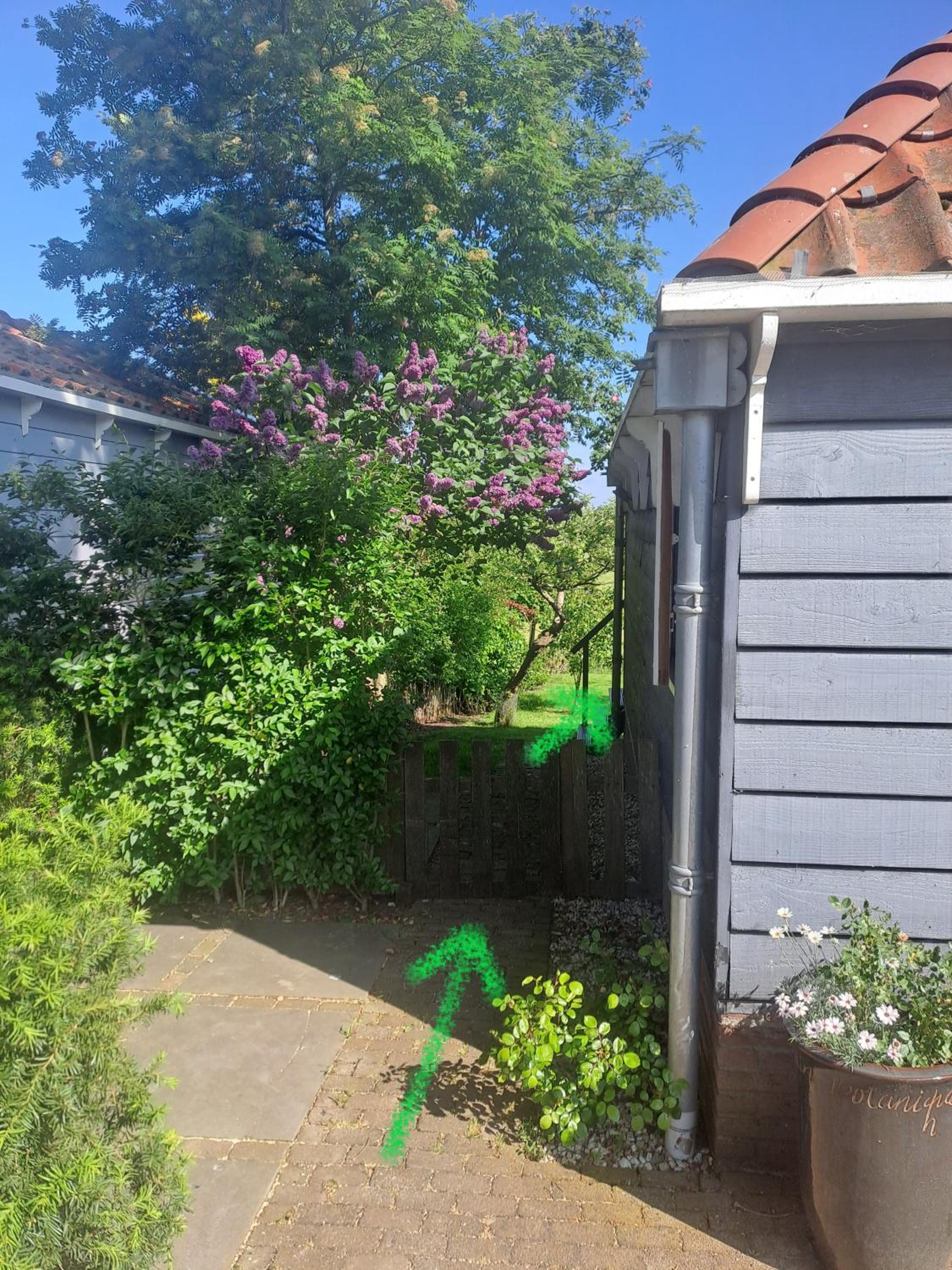 Edam, Garden Room with private entrance and rural view view 3