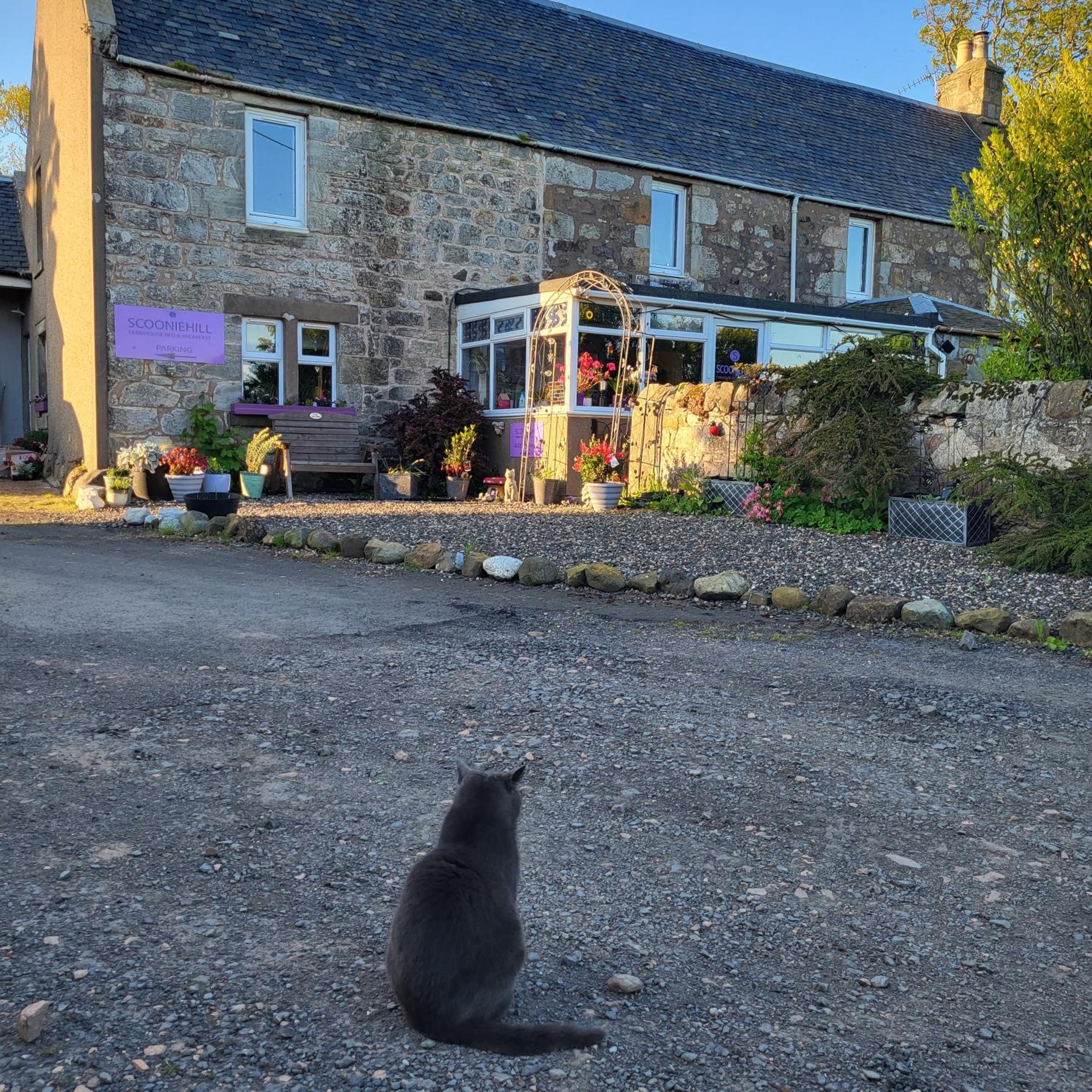 Scooniehill Farm House B&B, photo 19