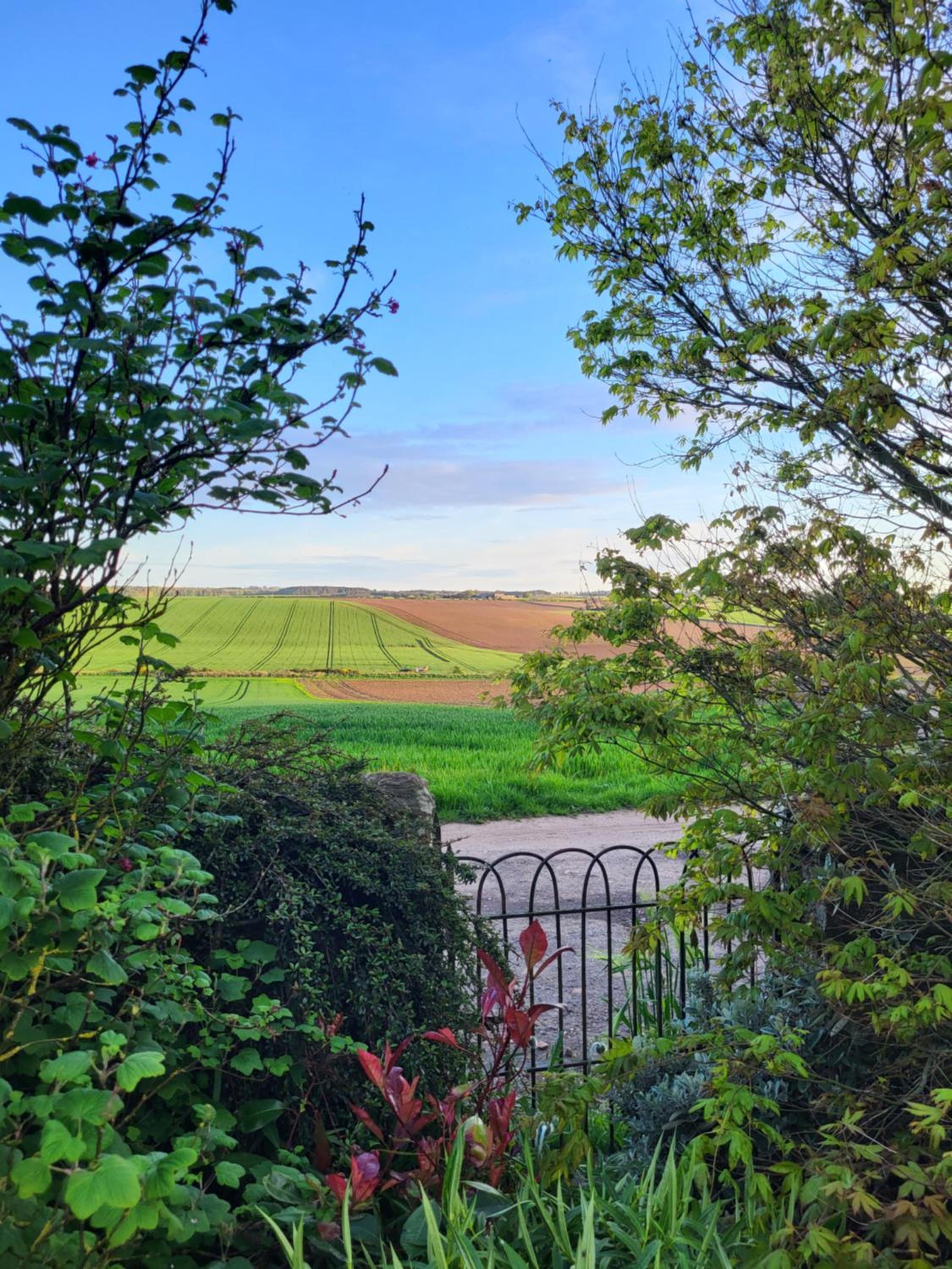 Scooniehill Farm House B&B, photo 26