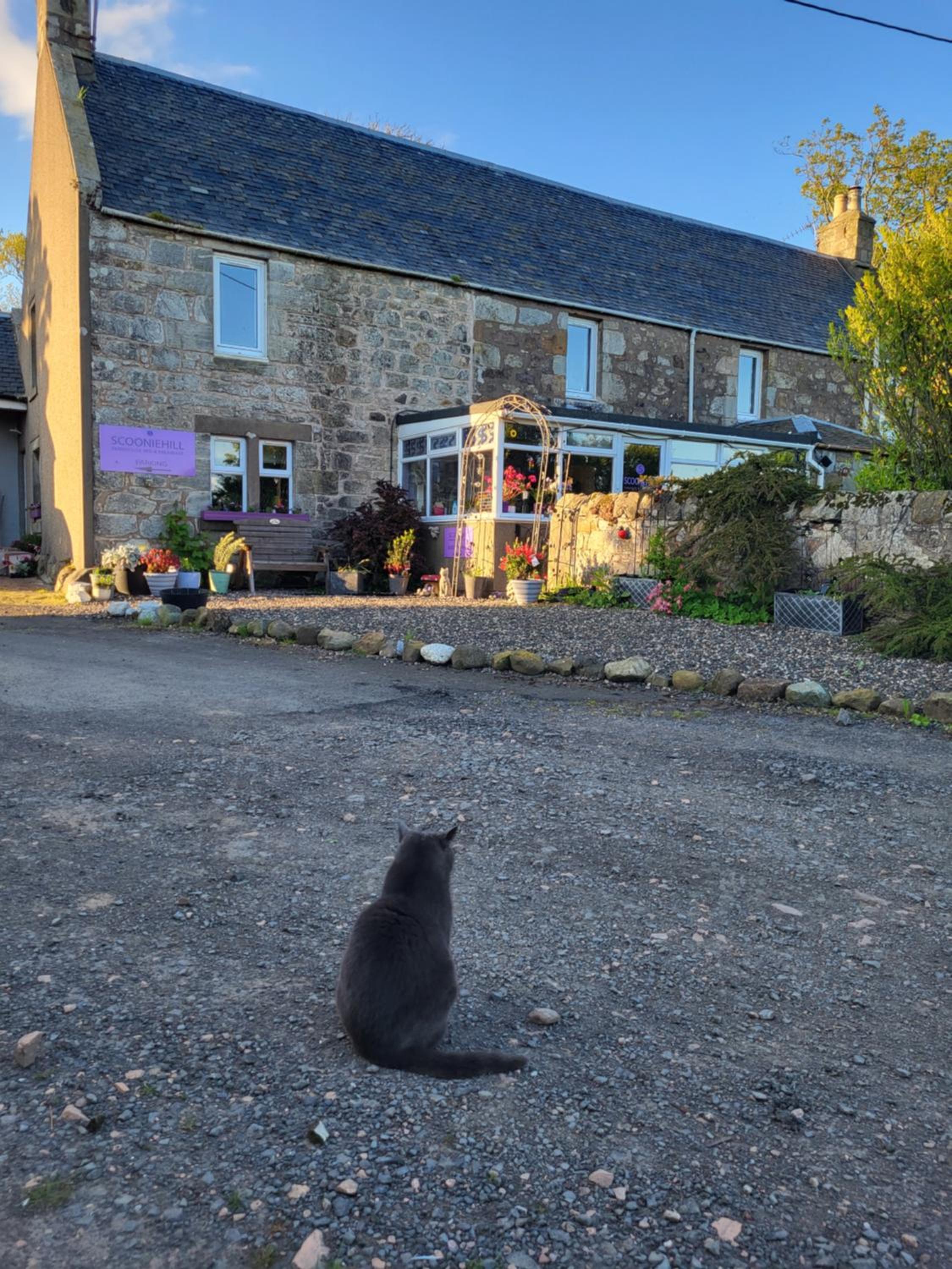 Scooniehill Farm House B&B, photo 27