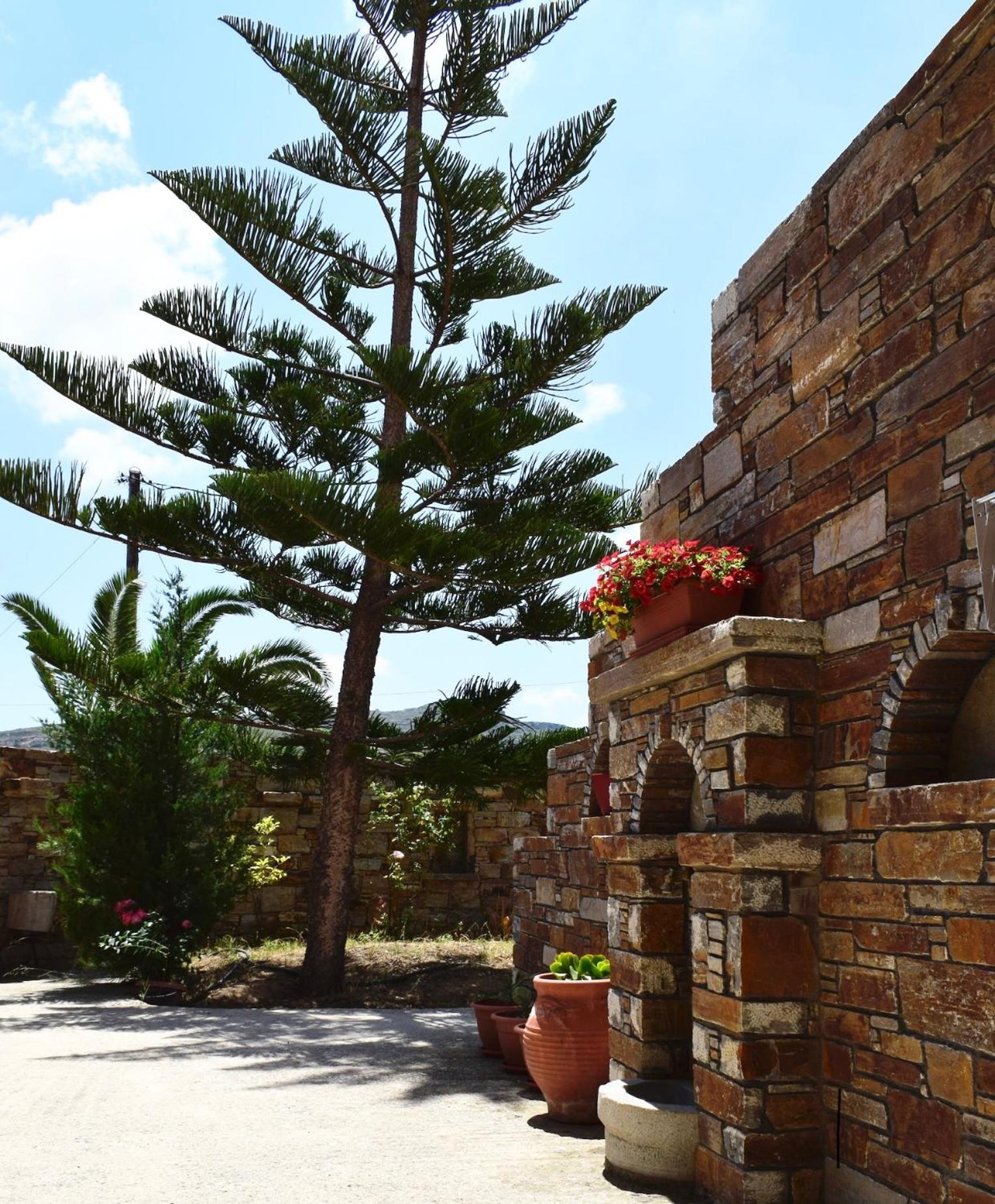 Tranquil Apartments photo 5