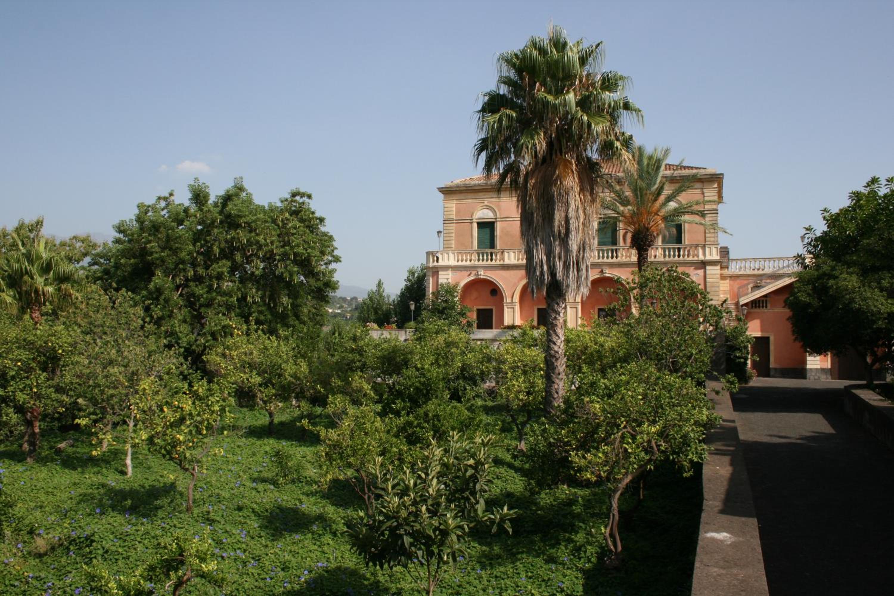 Photo 48