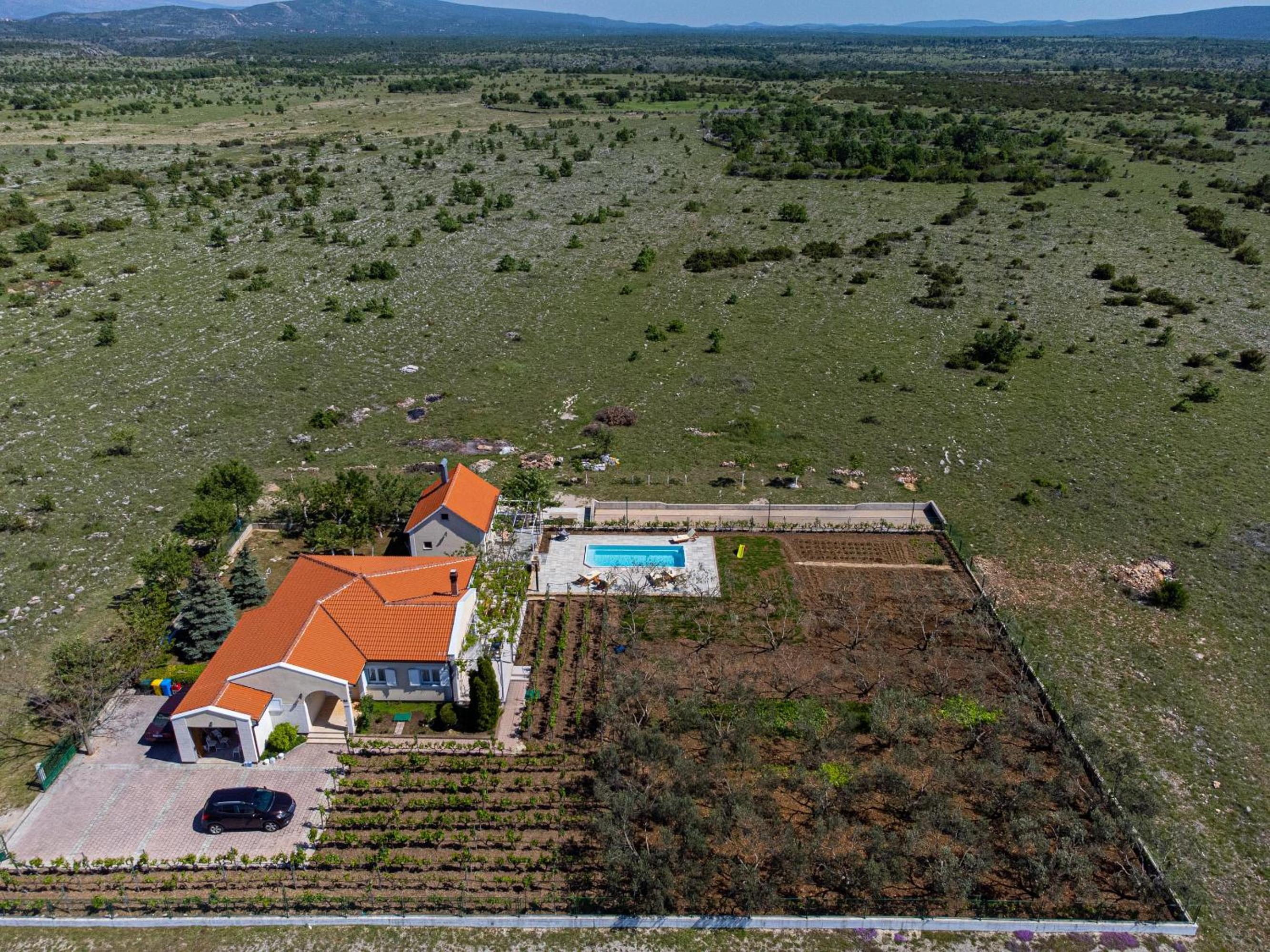 Holiday house Olive Tree view 2