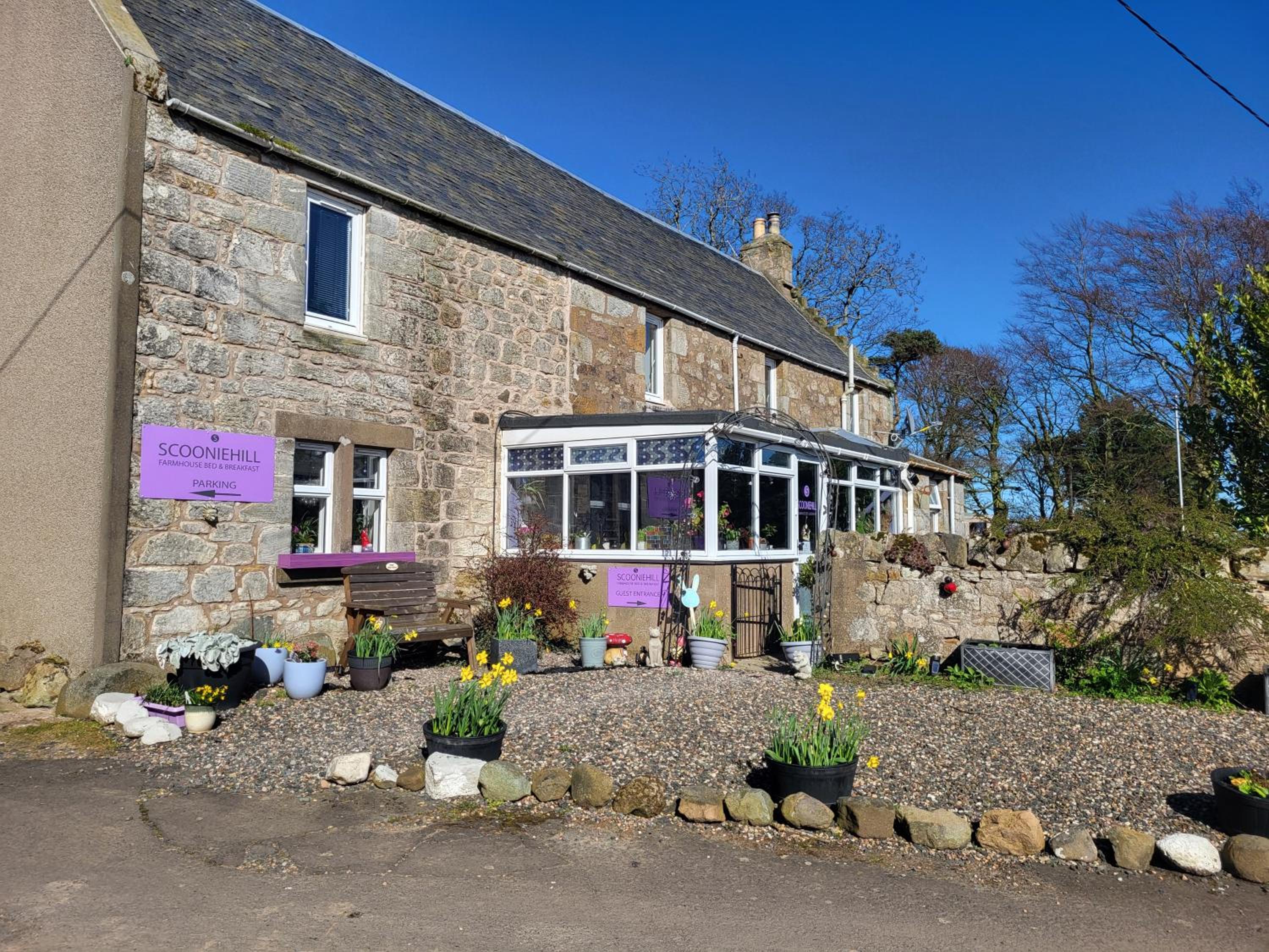 Scooniehill Farm House B&B, photo 8