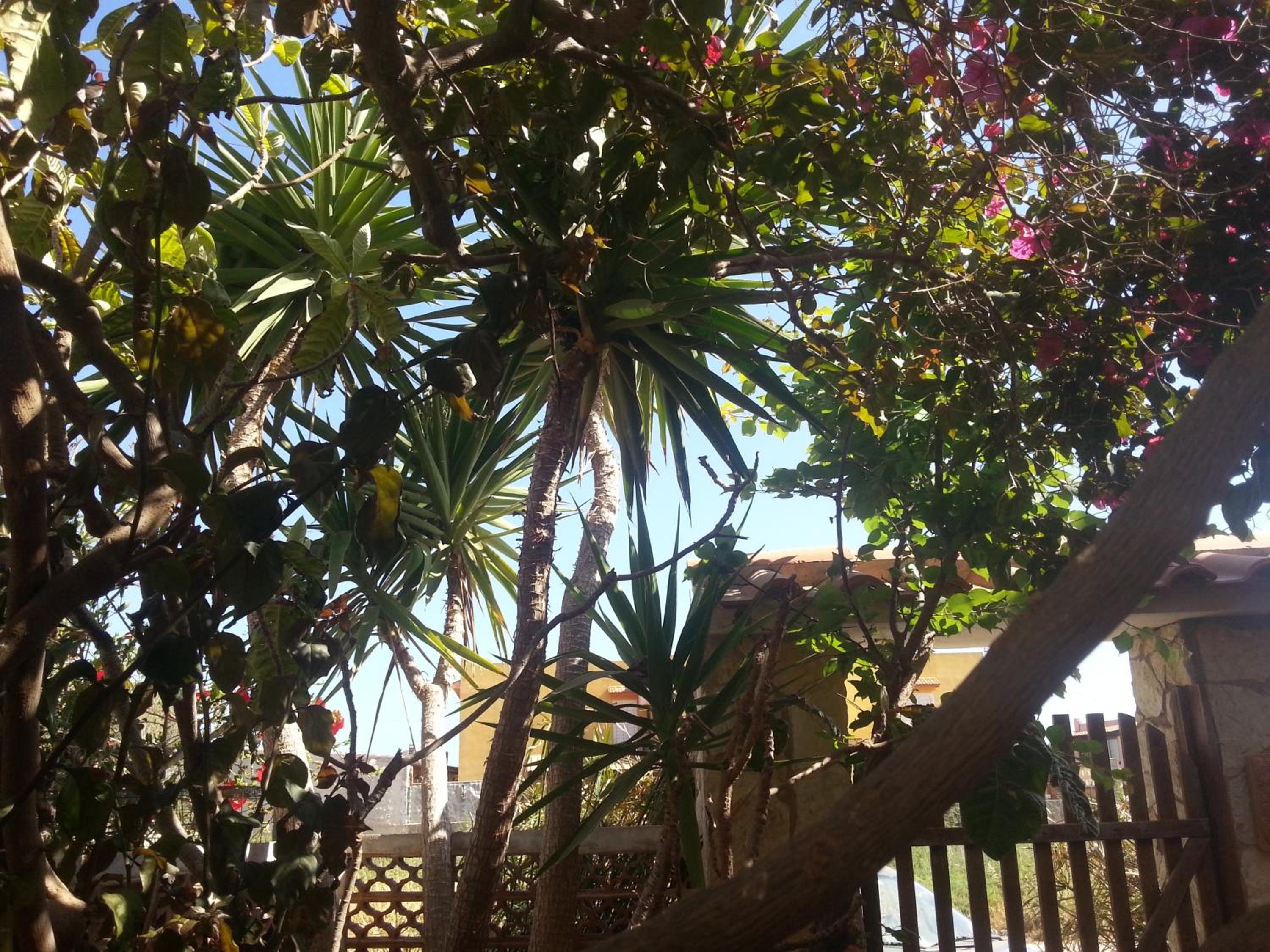 Photo 40
