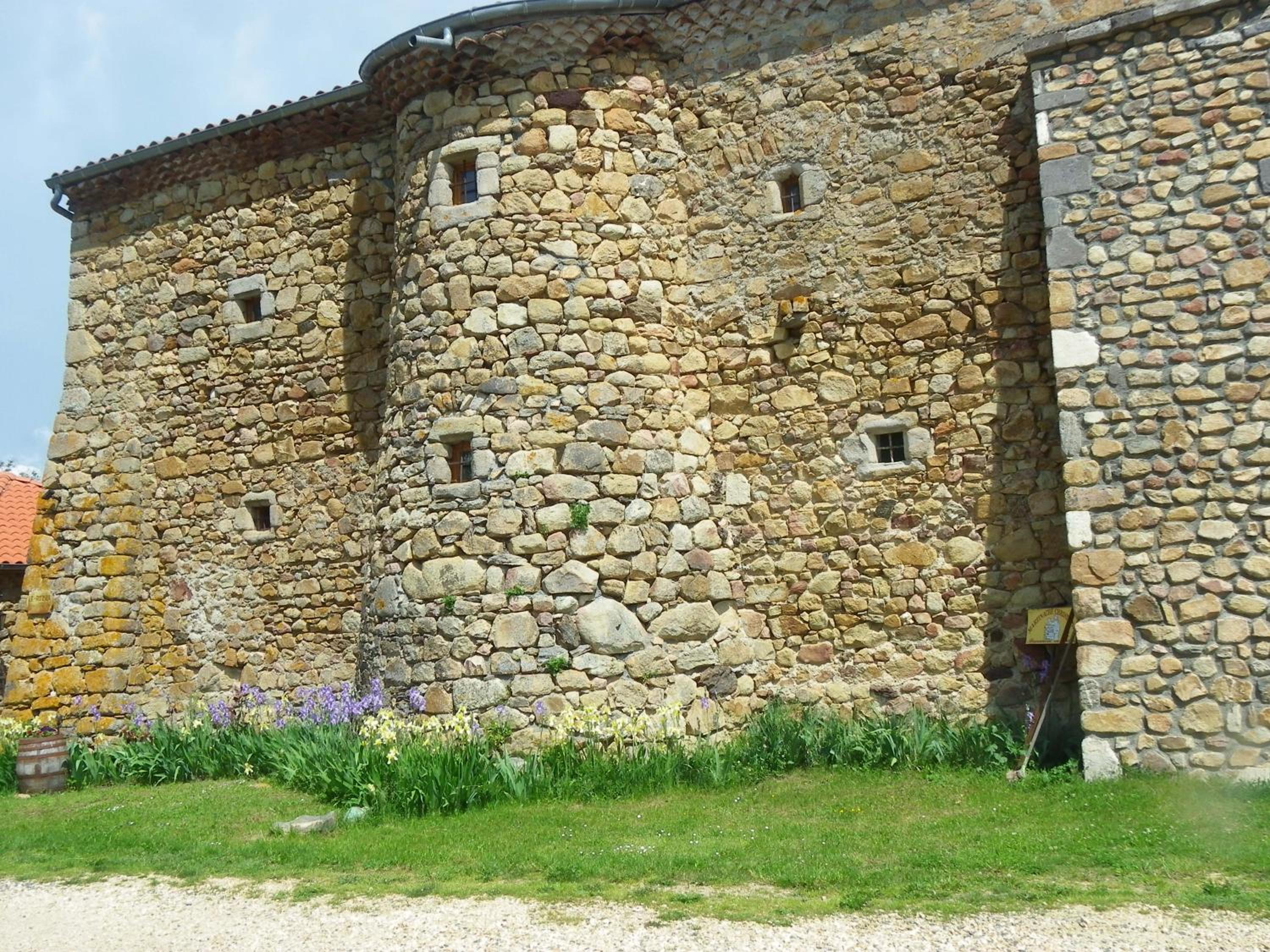Photo 42