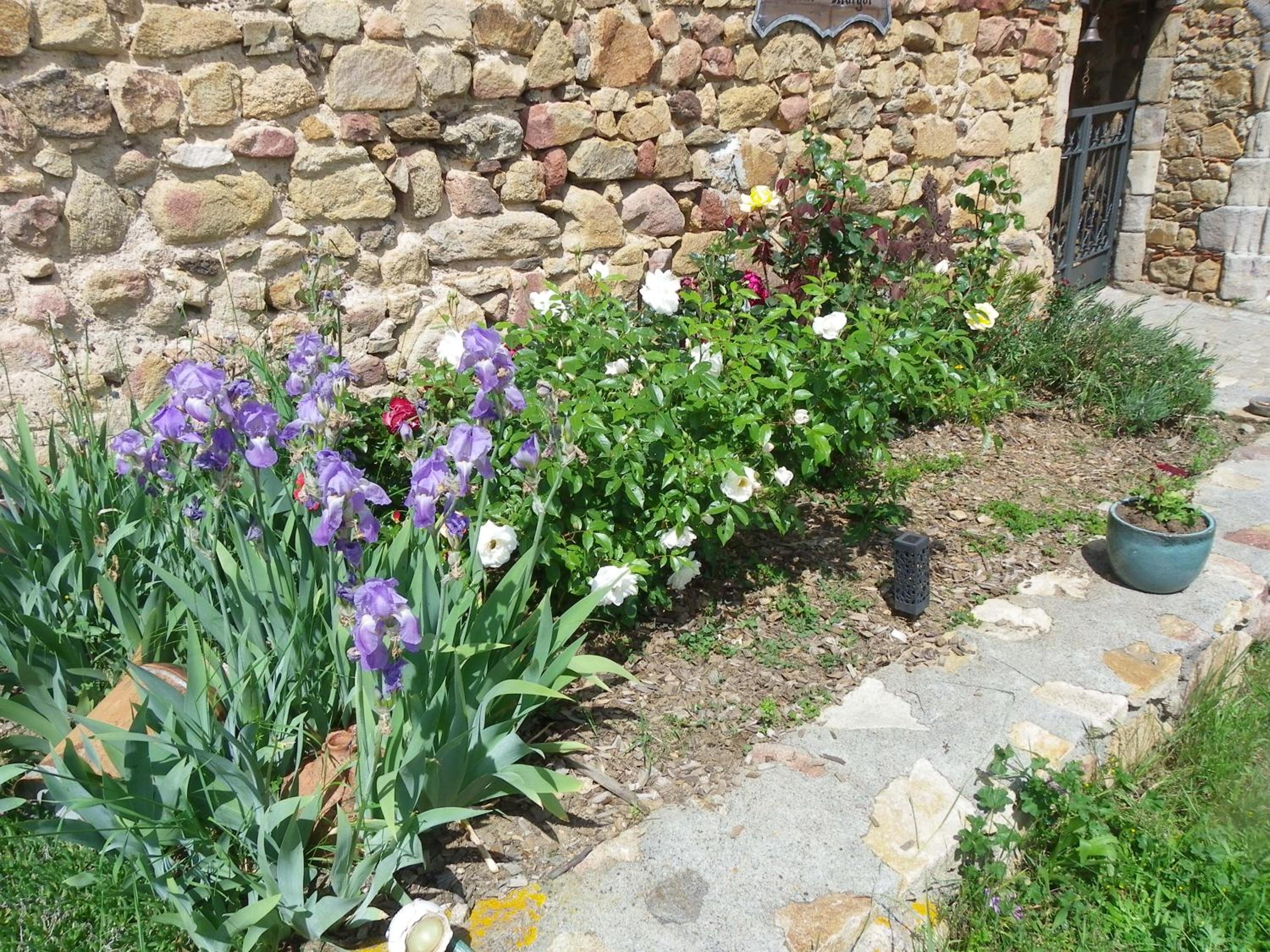 Photo 43
