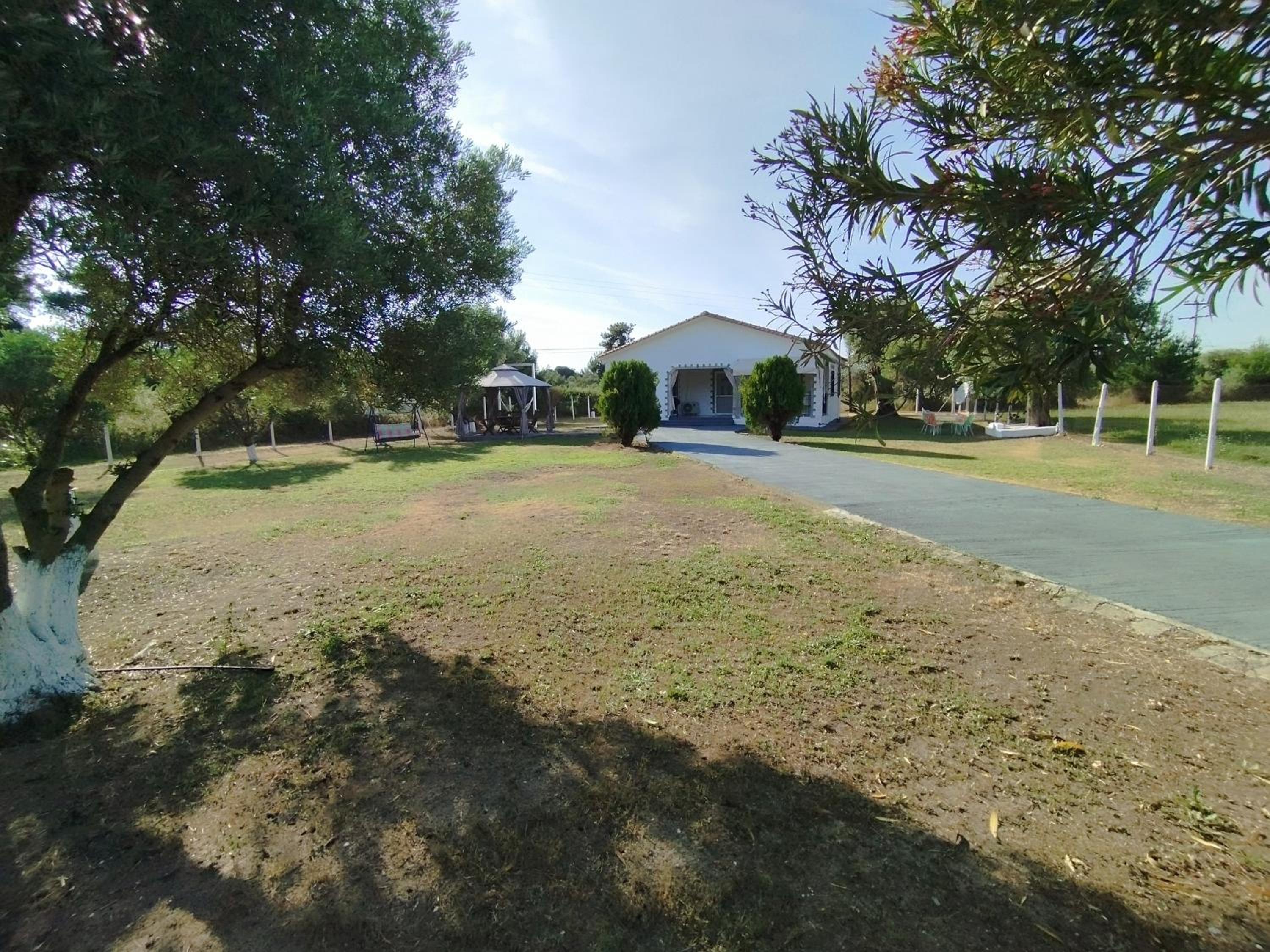 Raxoni House photo 3