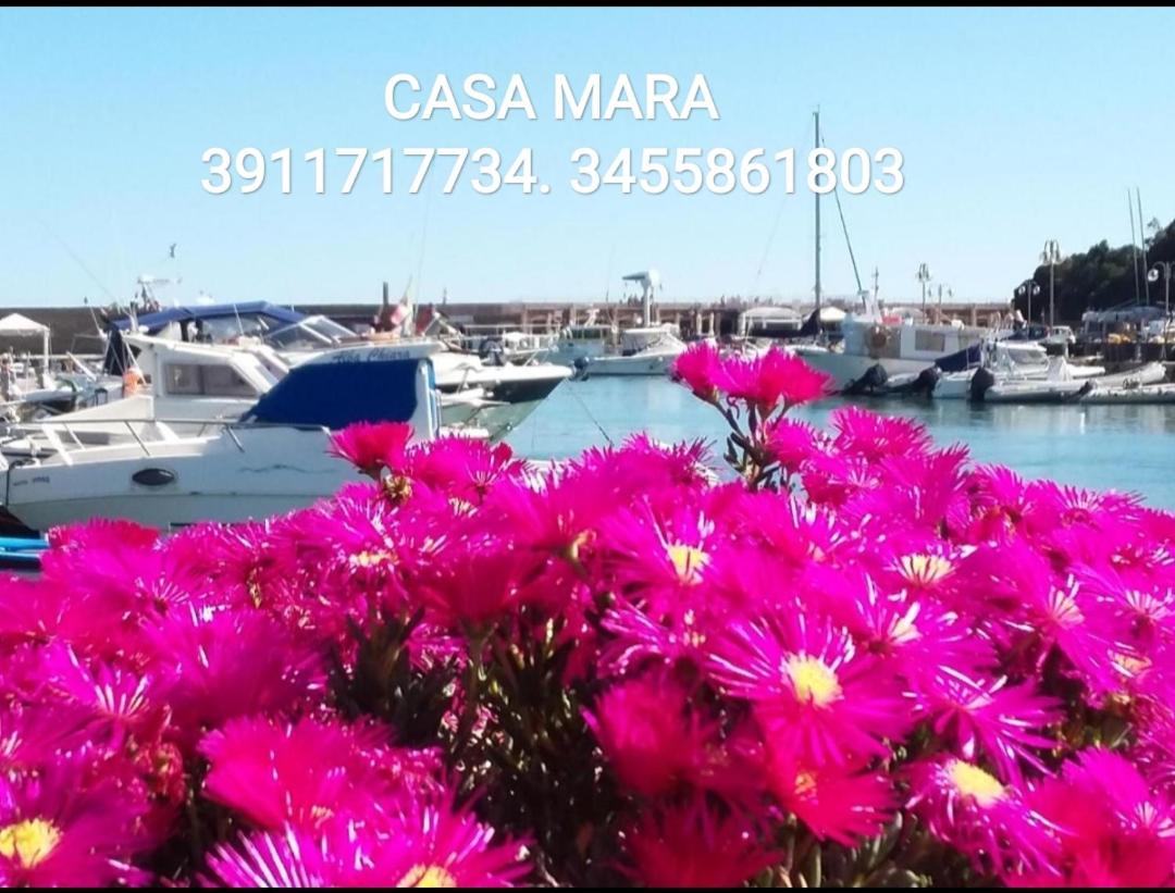 Casa Mara view 2