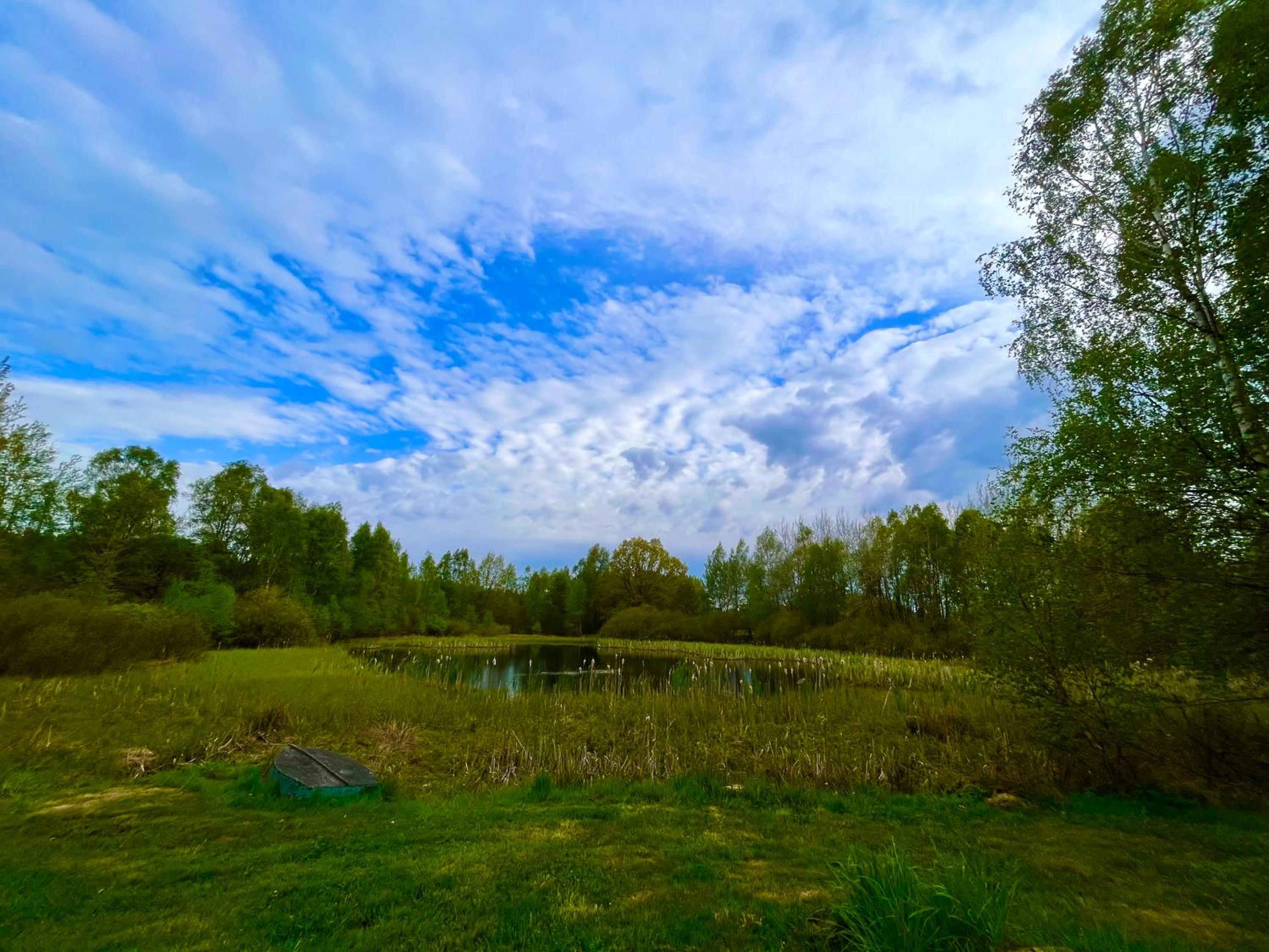 Photo 47